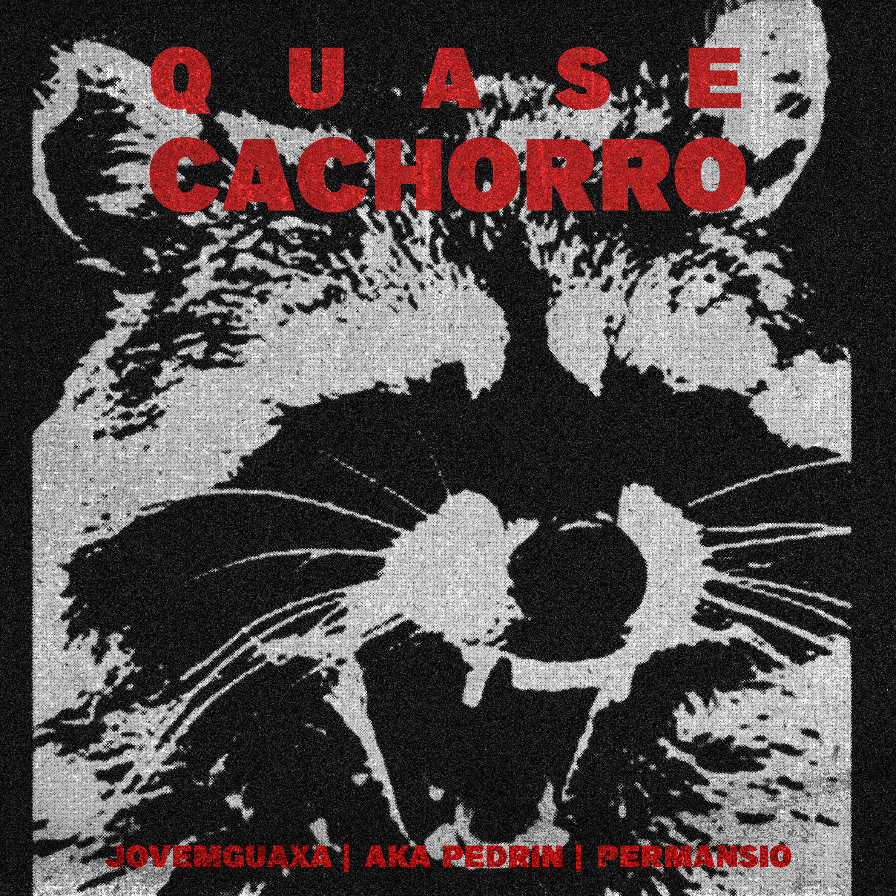 Релиз Quase Cachorro