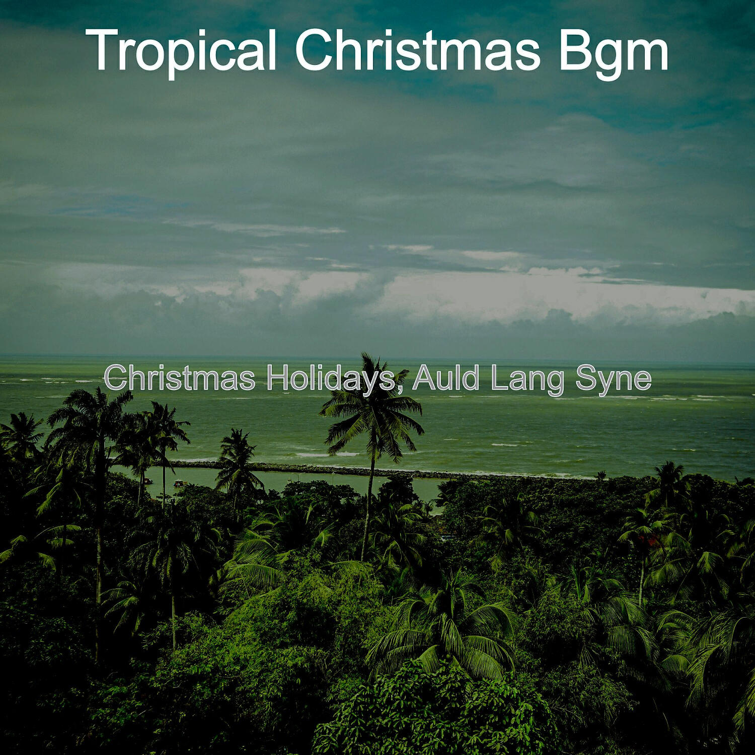 Tropical Christmas Bgm