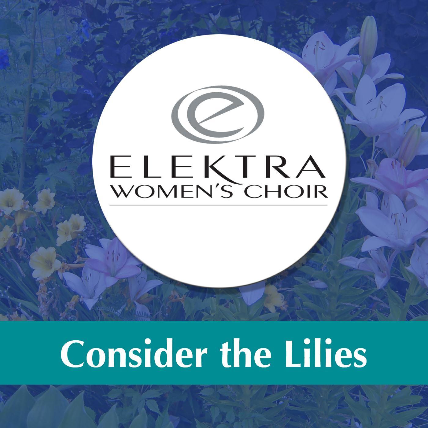 Релиз Consider the Lilies