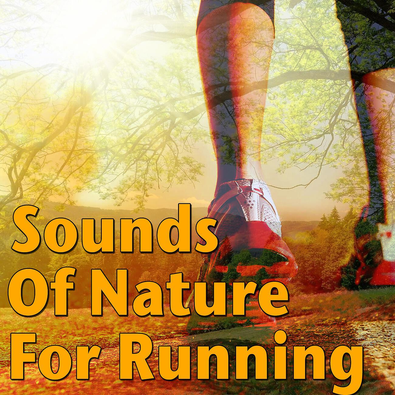 Релиз Sounds Of Nature For Running, Vol.2