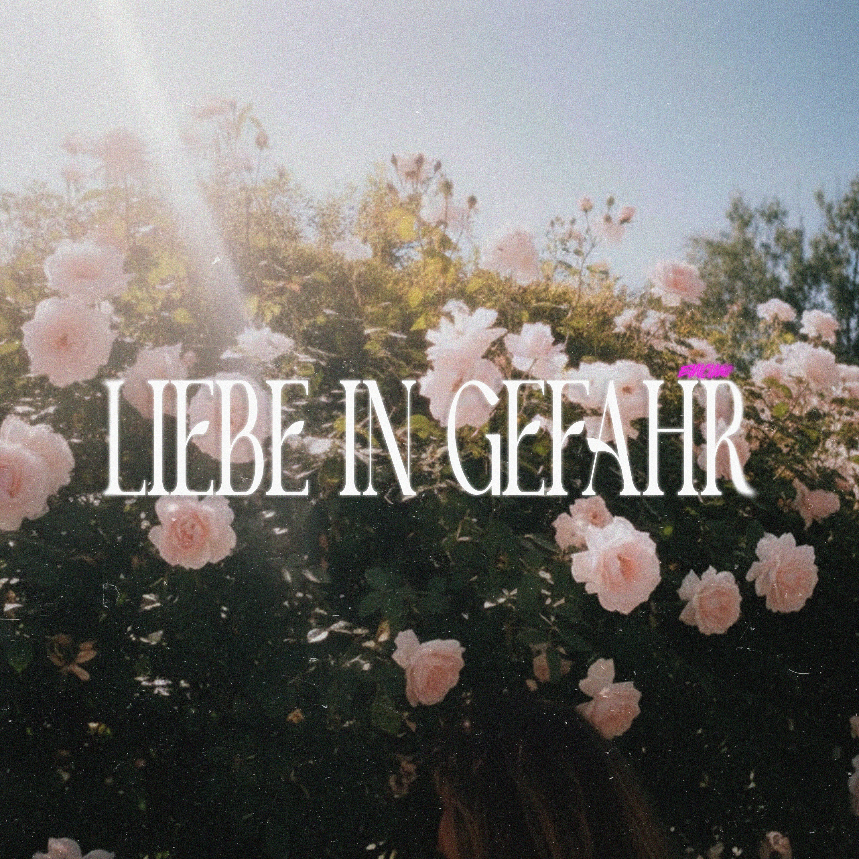 Релиз Liebe in Gefahr