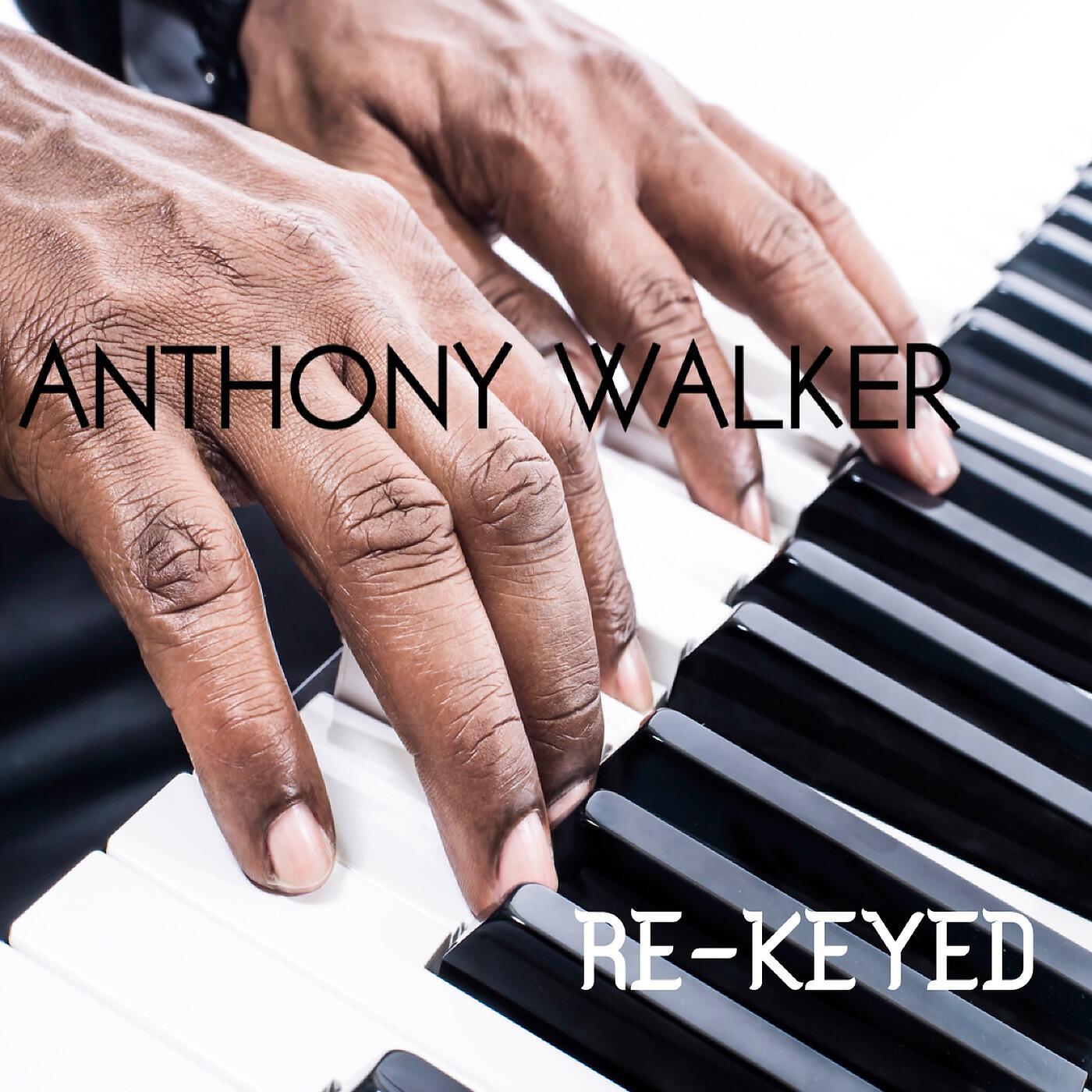 Релиз Re-Keyed