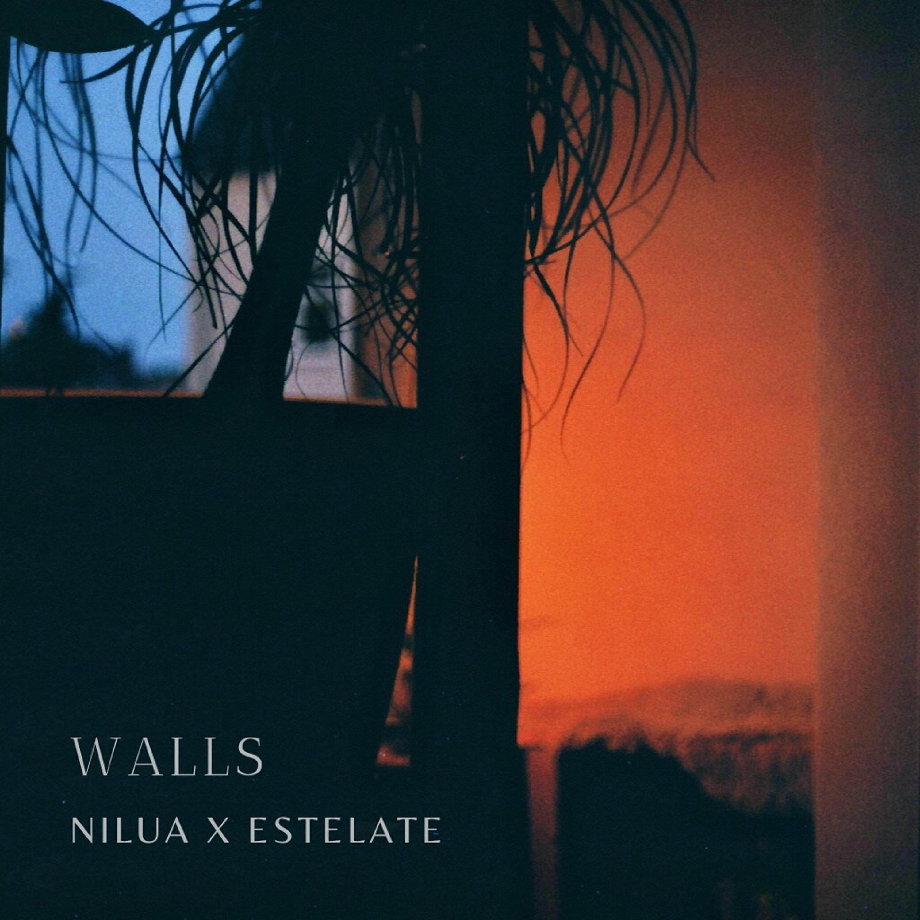 Релиз Walls