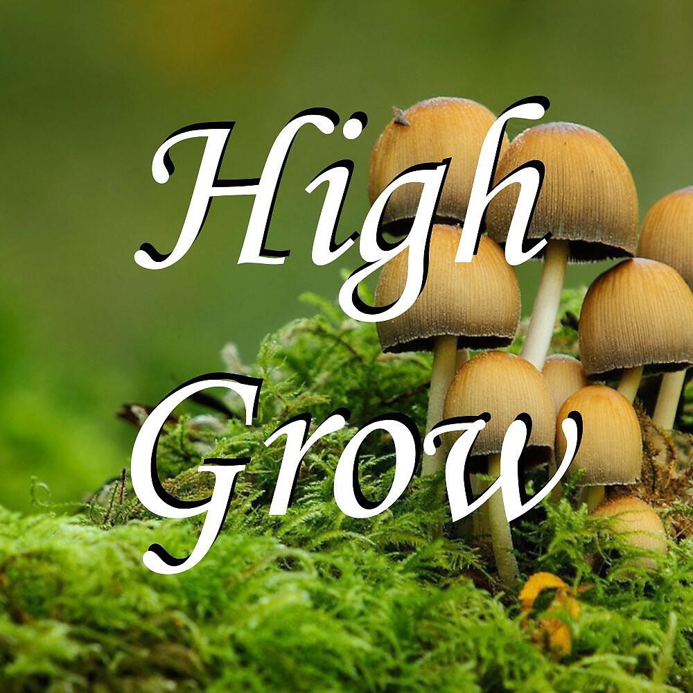 Релиз High Grow
