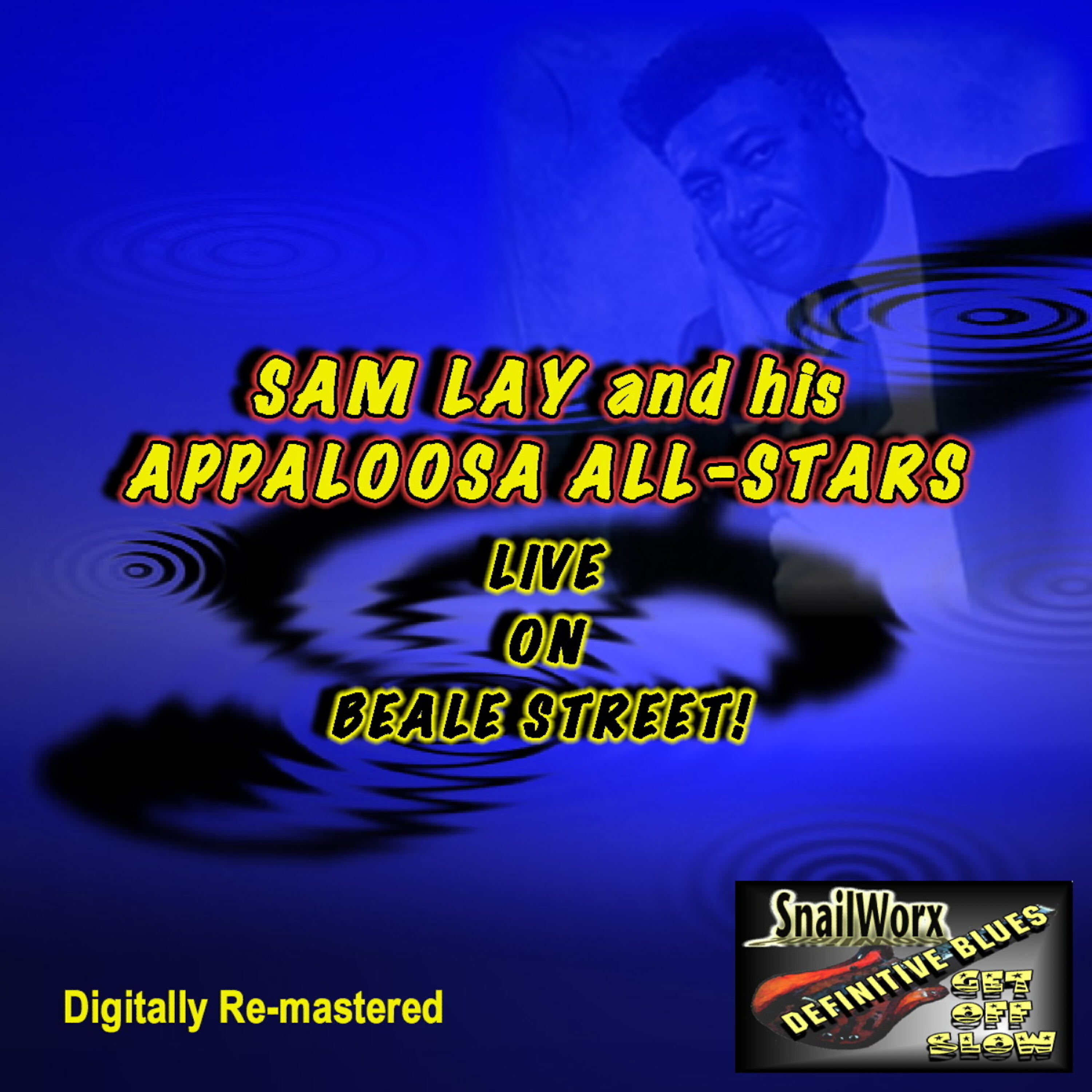 His Appaloosa All-Stars