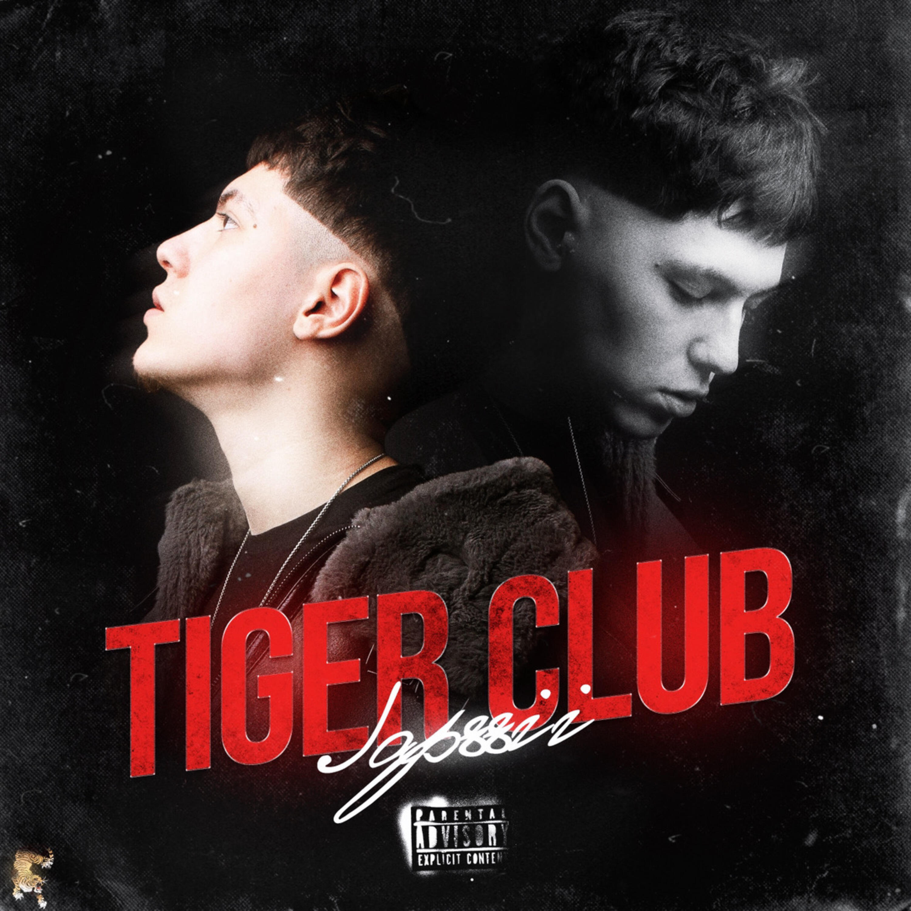 Релиз TIGER CLUB