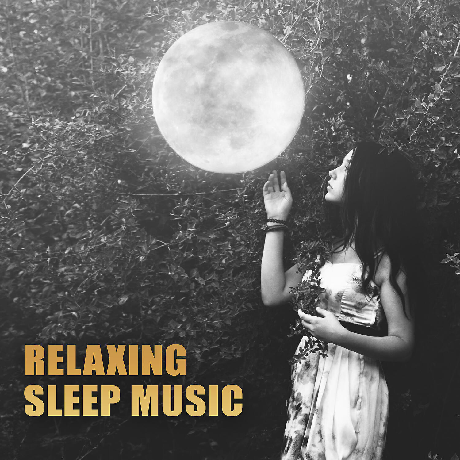 Релиз Relaxing Sleep Music – Soft Sounds to Relax, Long Night, Quiet Music