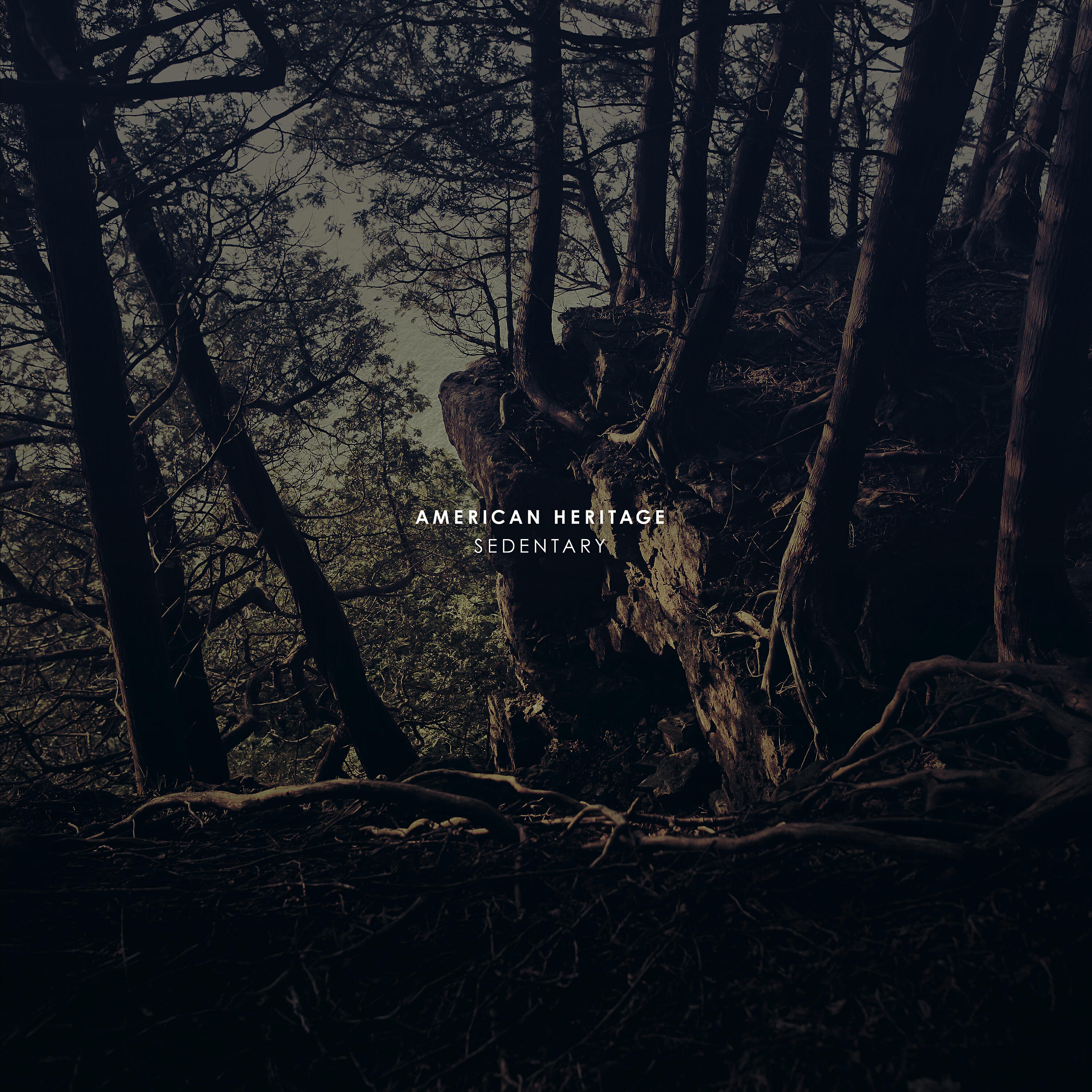 Релиз Sedentary