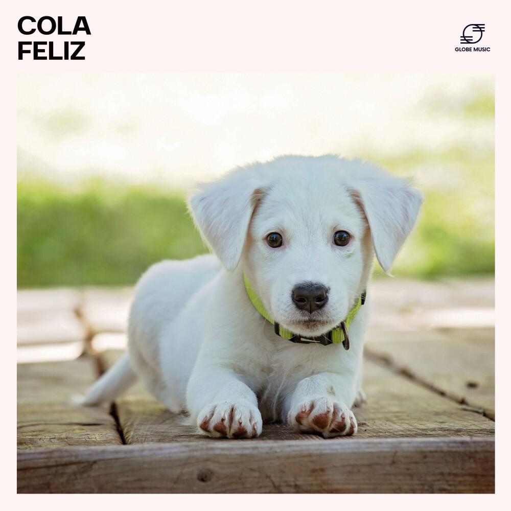 Música relajante para mascotas