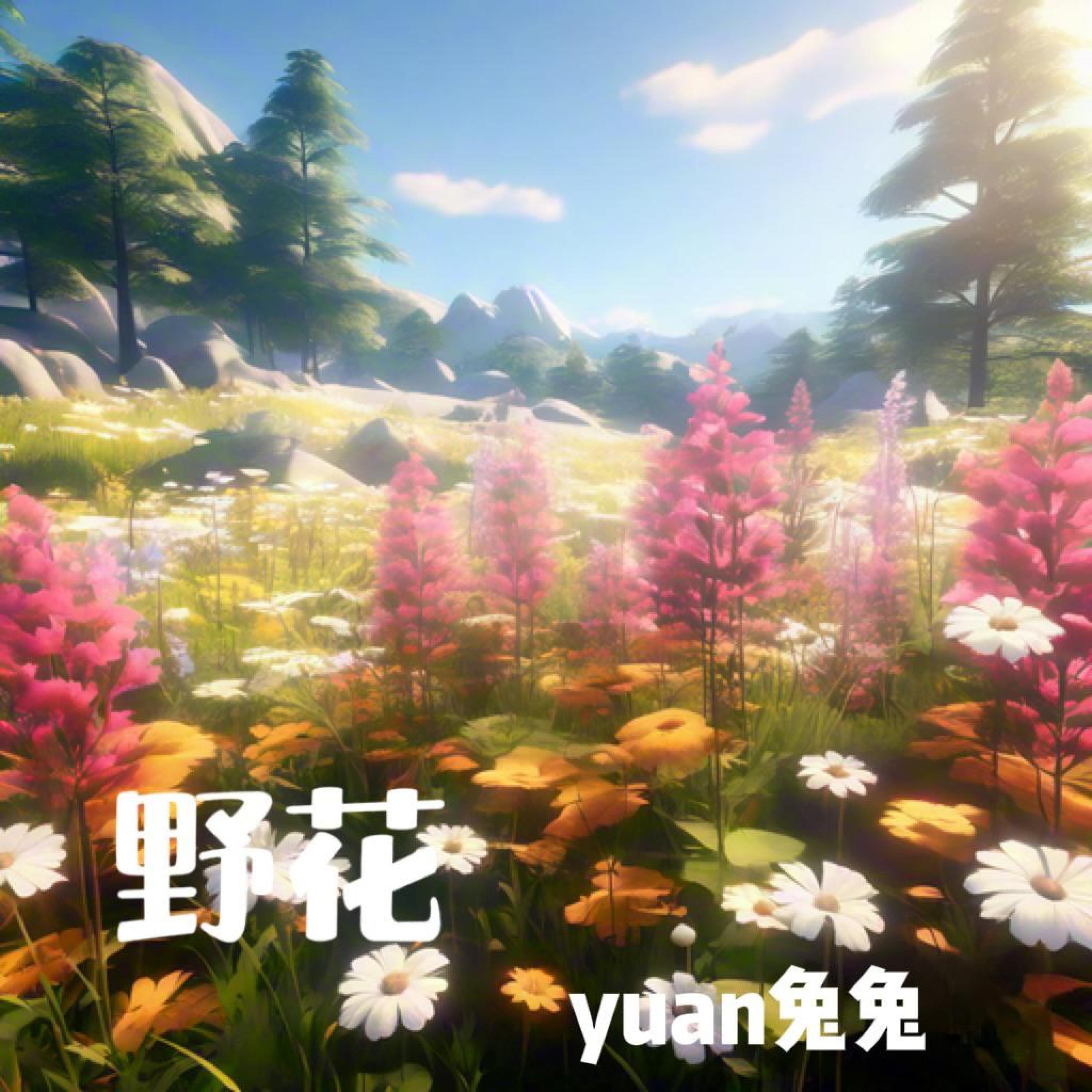 Релиз 野花