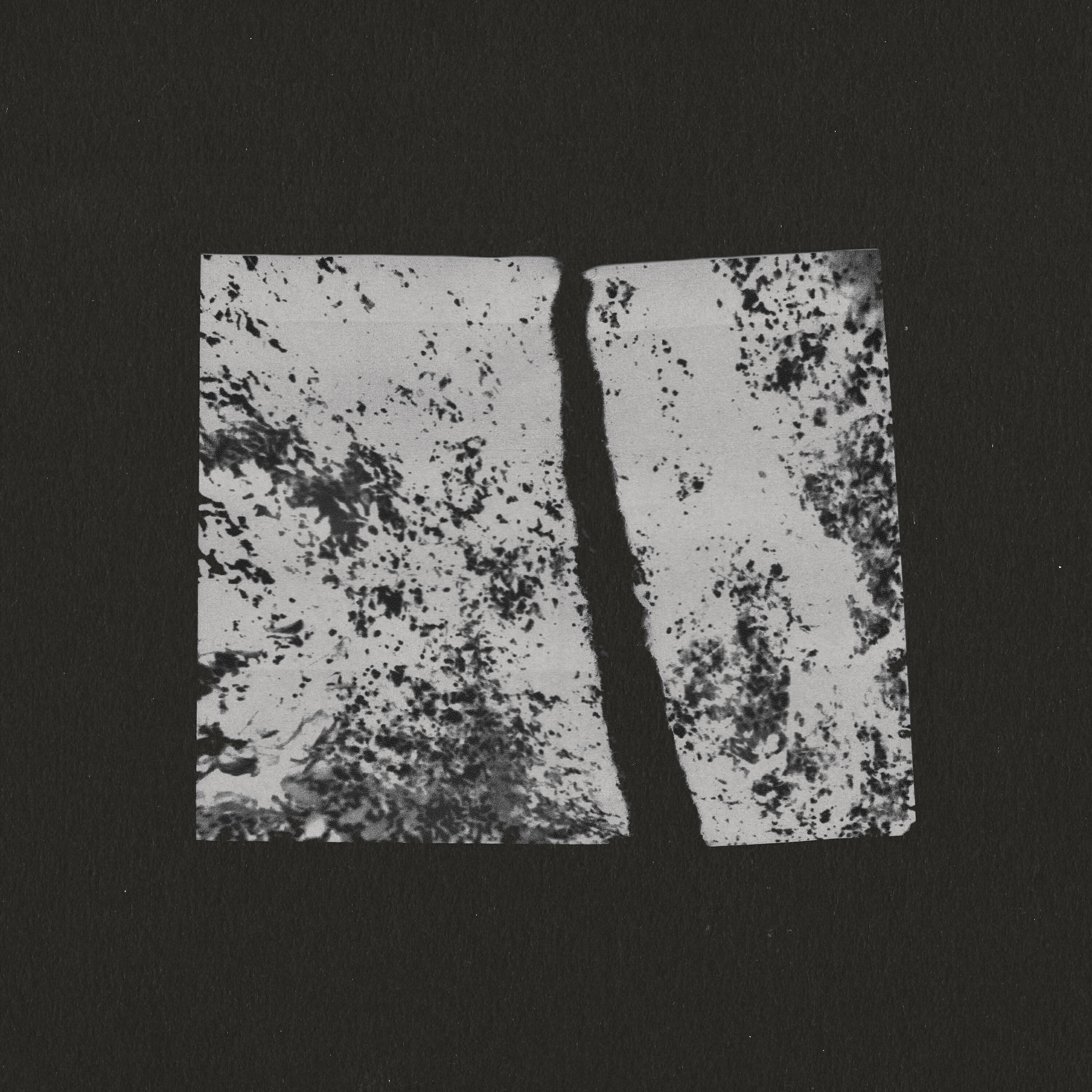 Релиз Portra