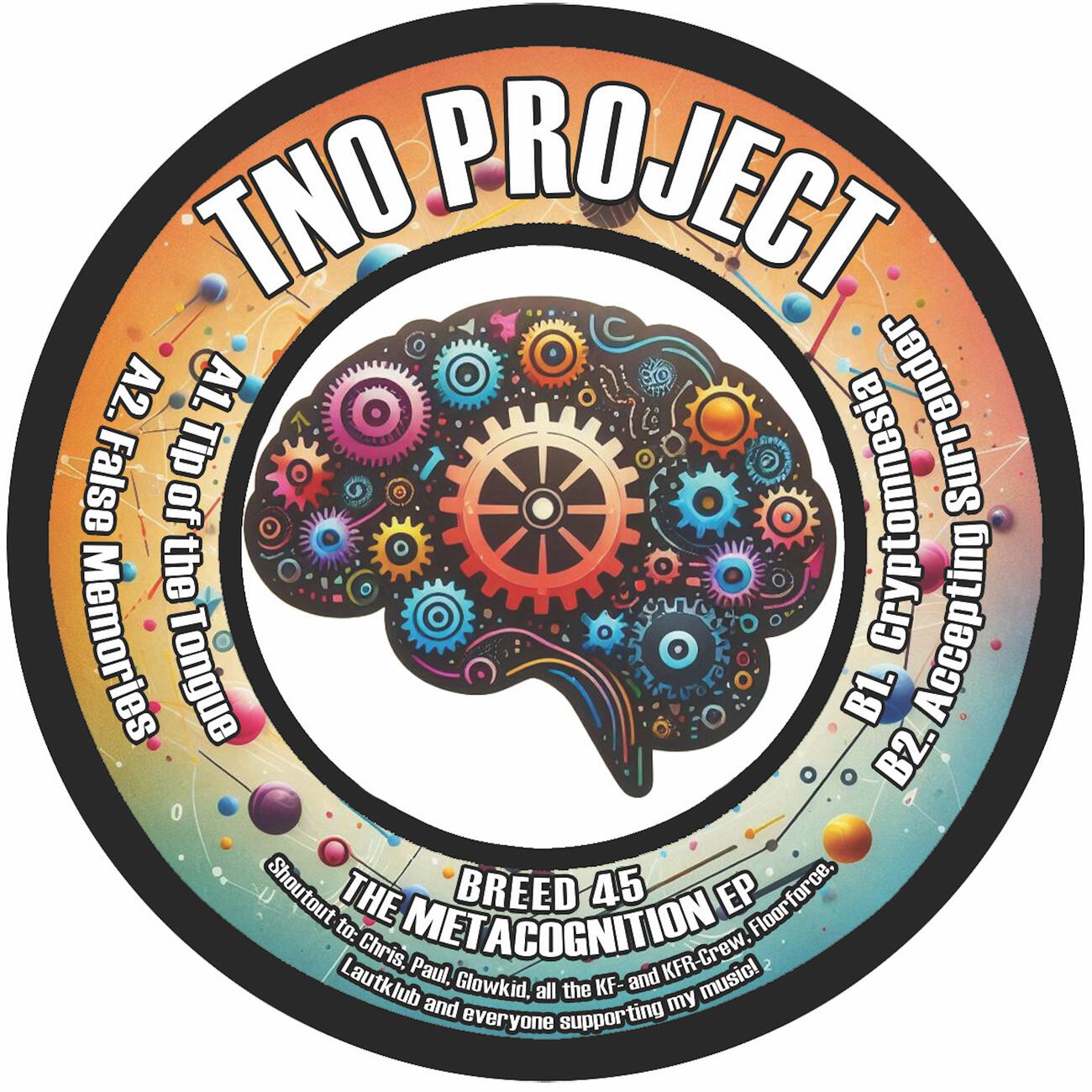 TNO Project