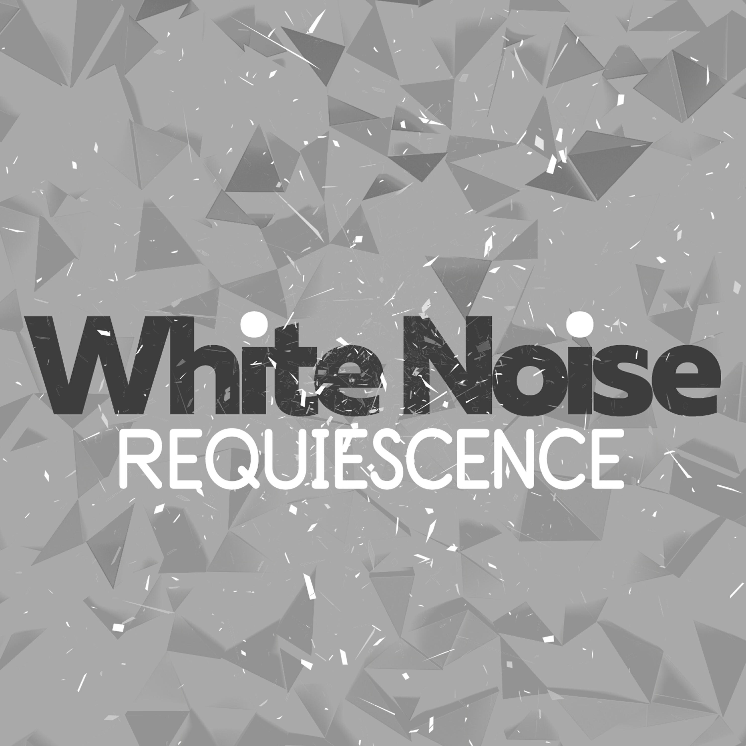 Релиз White Noise Requiescence