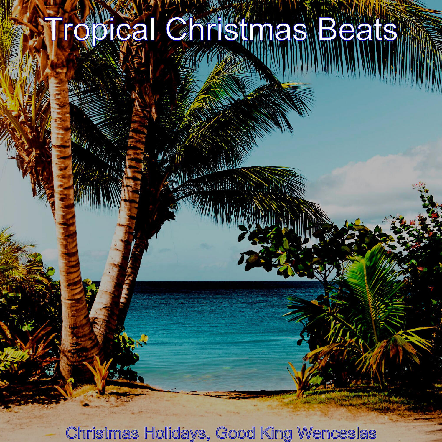 Tropical Christmas Beats