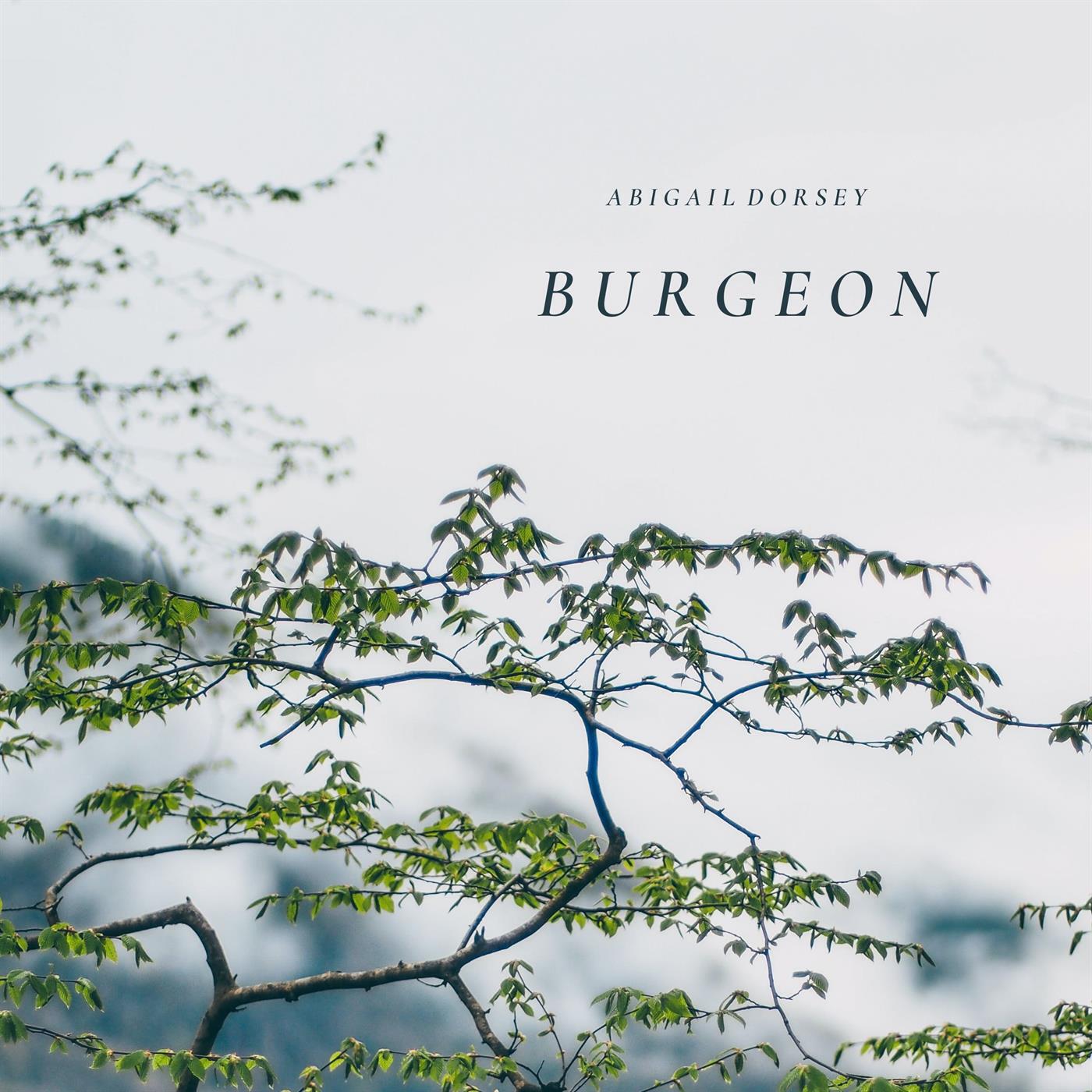 Релиз Burgeon