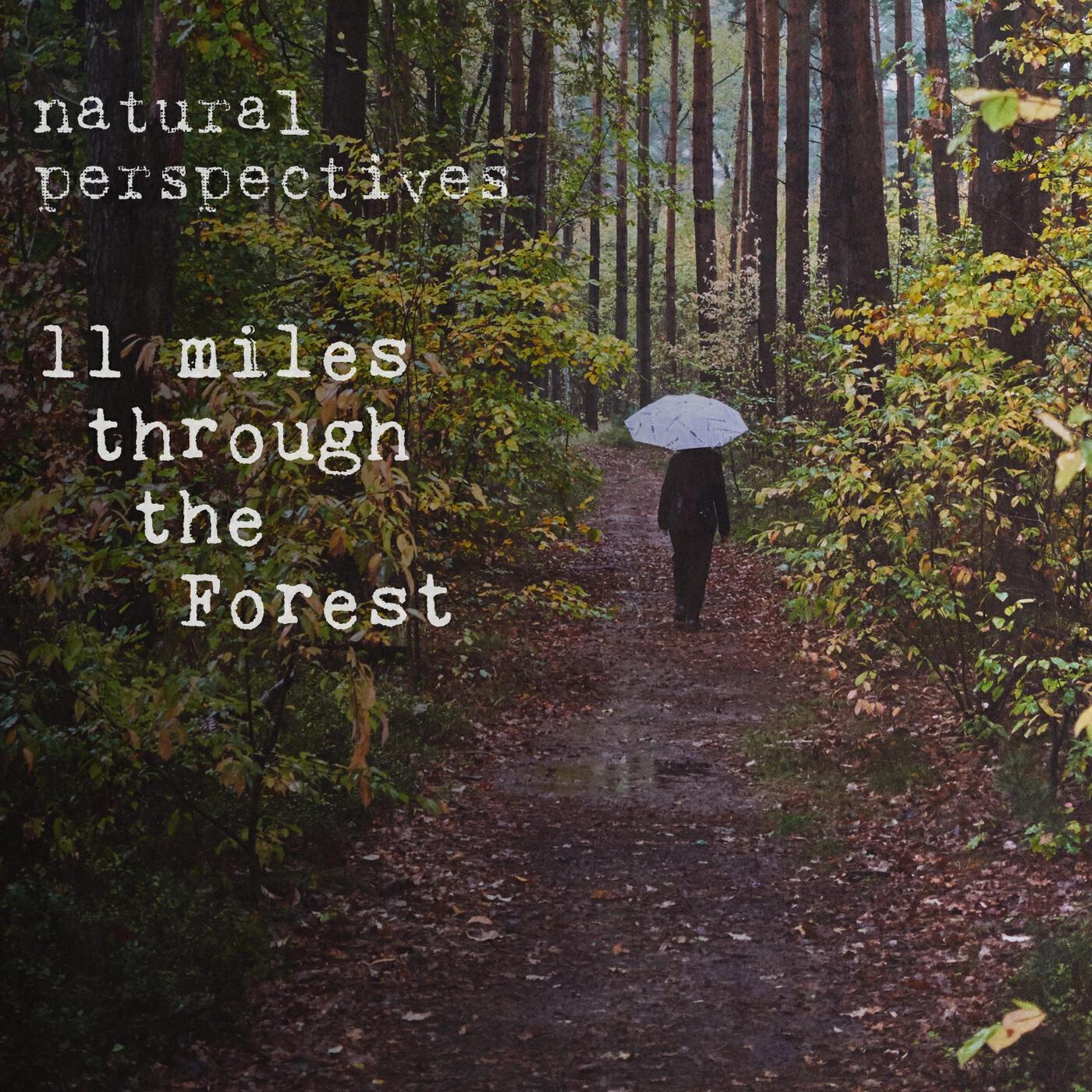Релиз 11 Miles Through the Forest