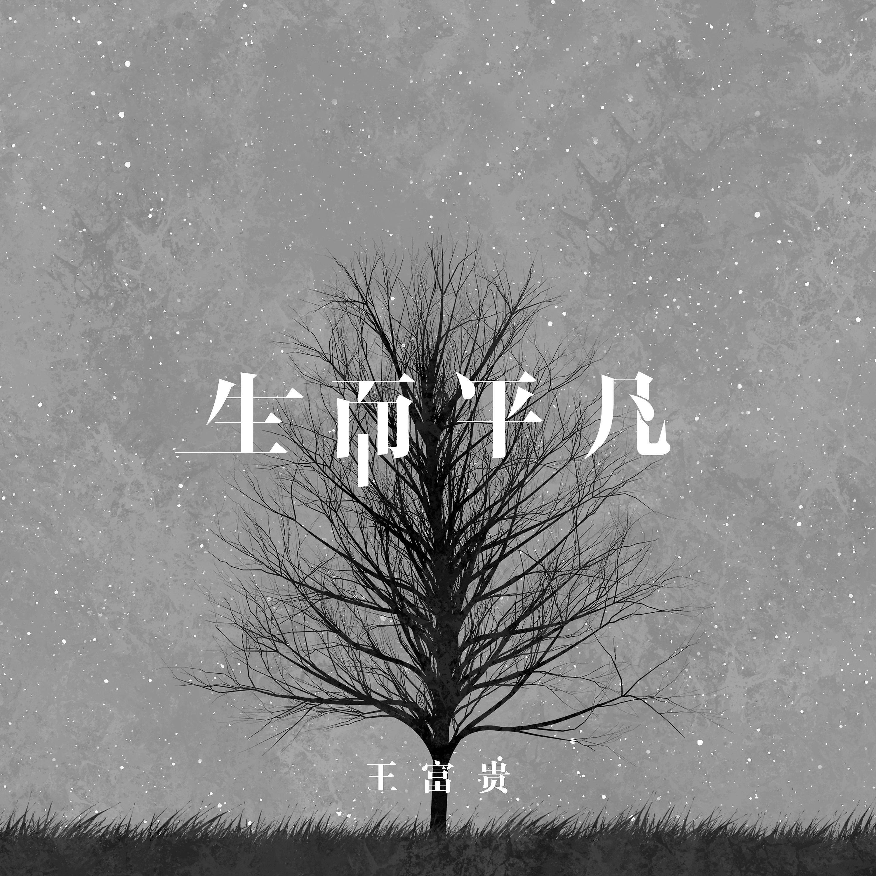 Релиз 生而平凡