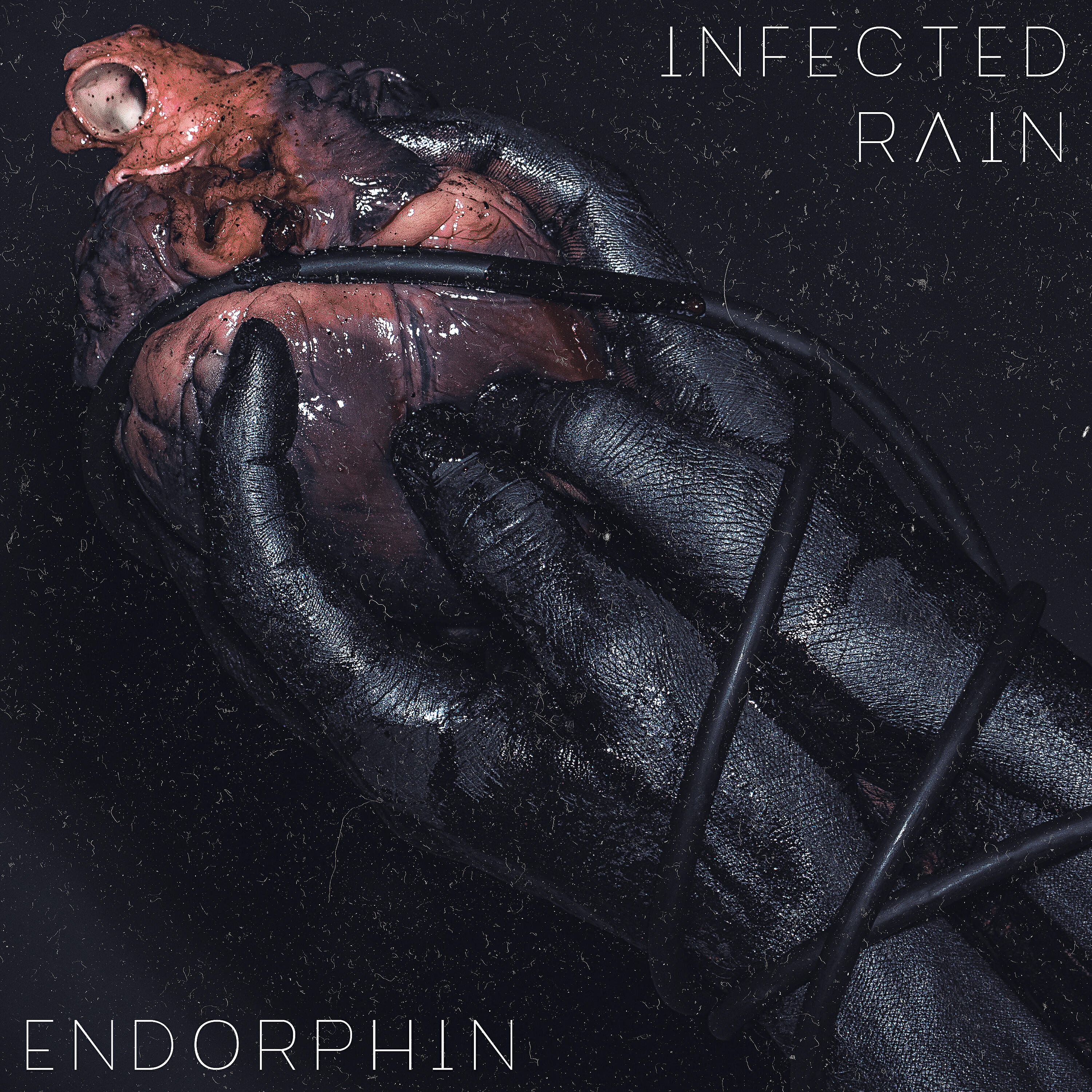 Релиз Endorphin