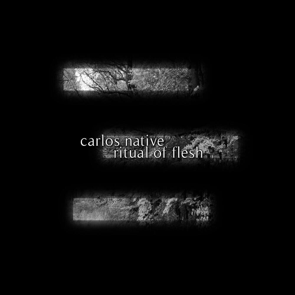 Релиз Ritual of Flesh