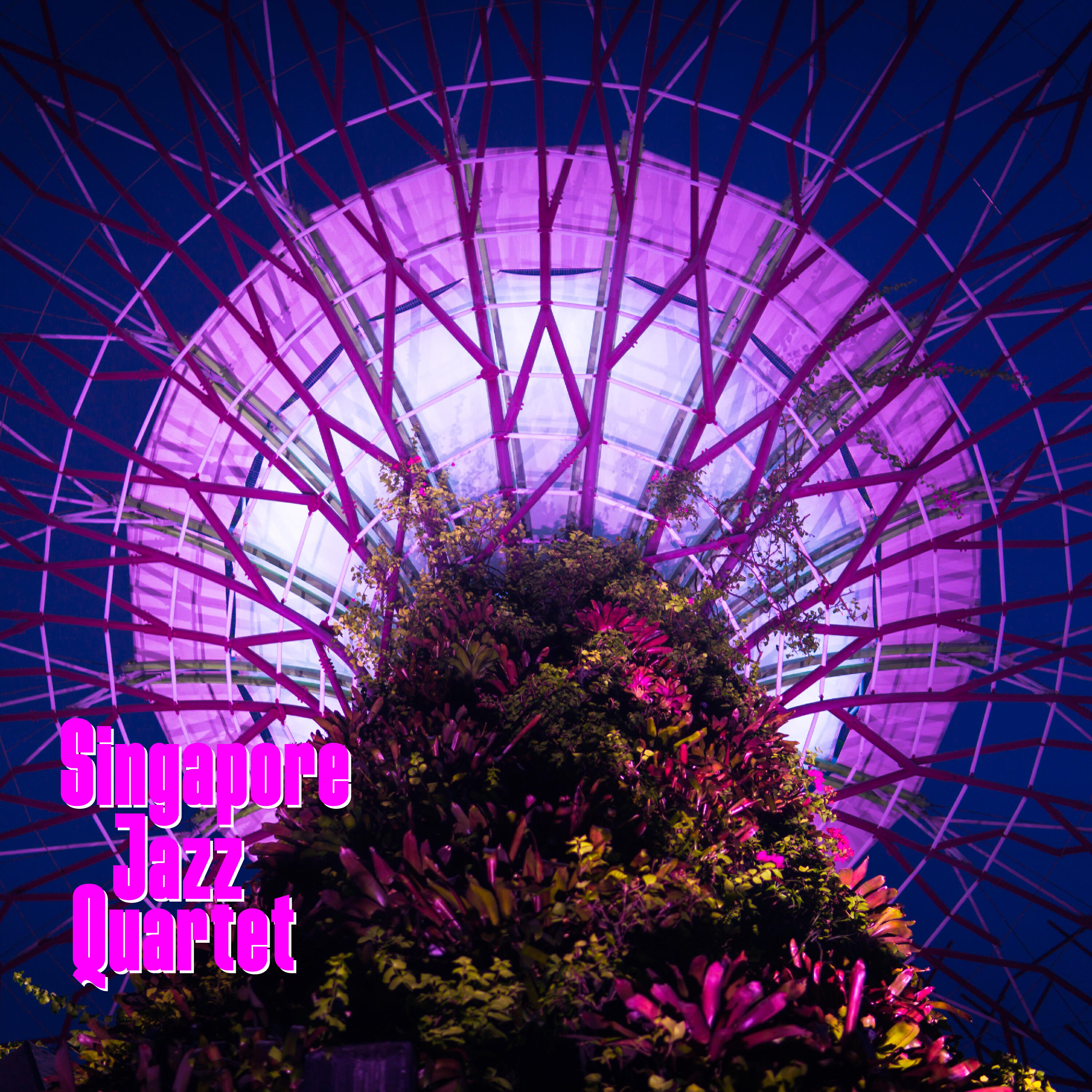 Релиз Late Night Color