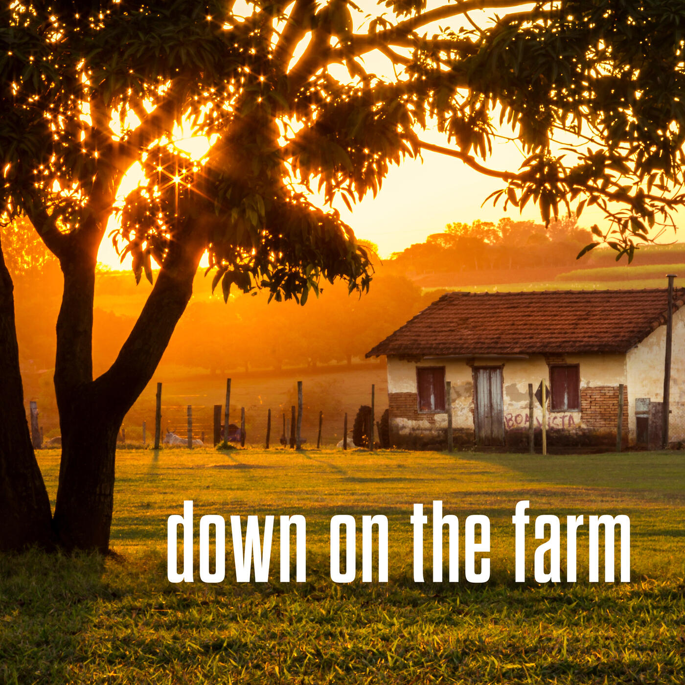 Релиз down on the farm