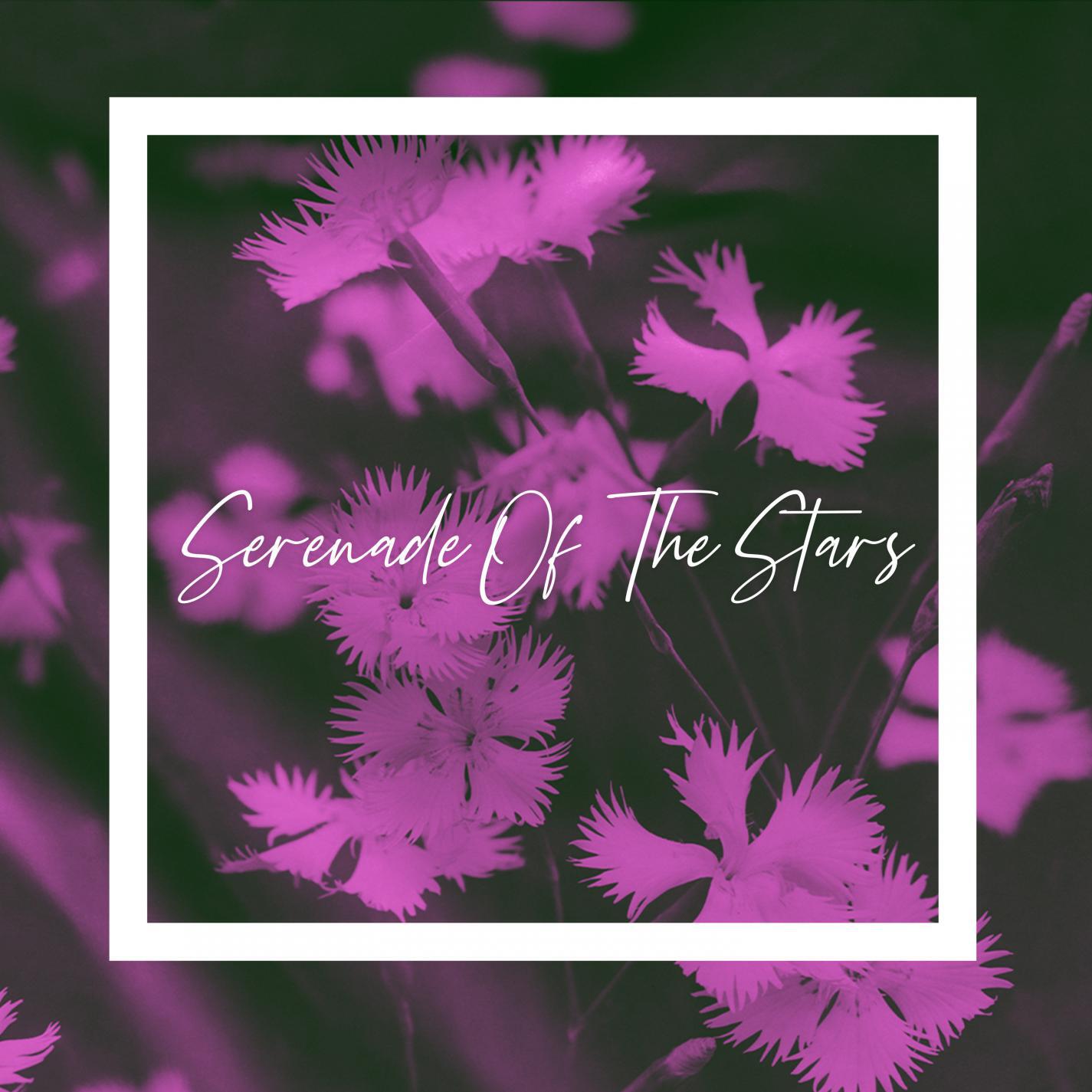 Релиз Serenade Of The Stars