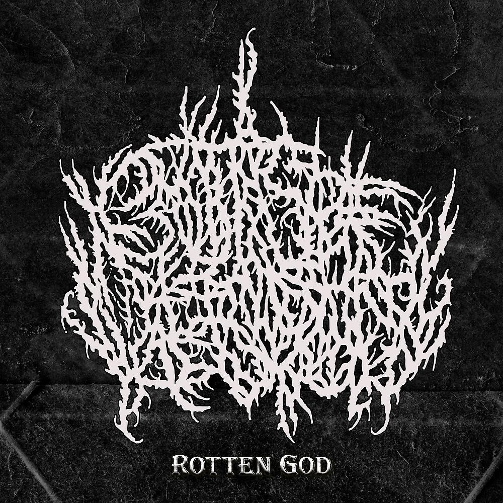 Постер альбома Rotten God