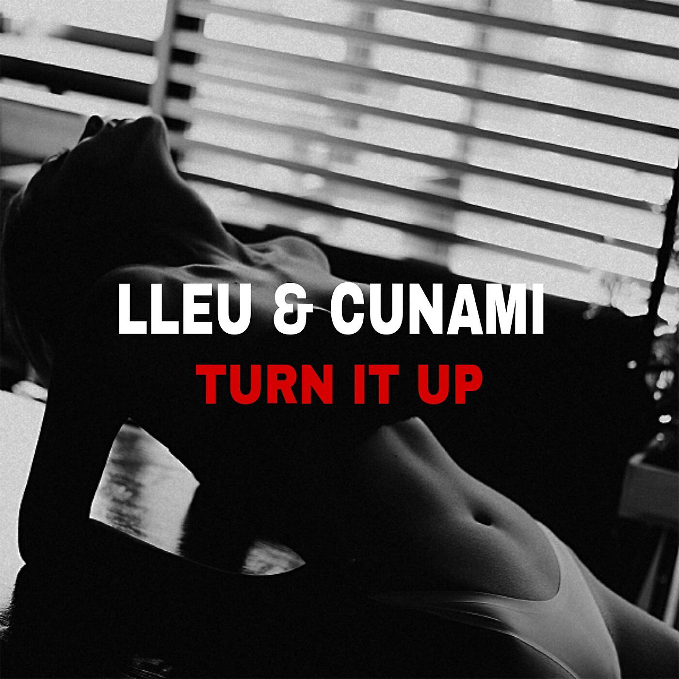 CUNAMI