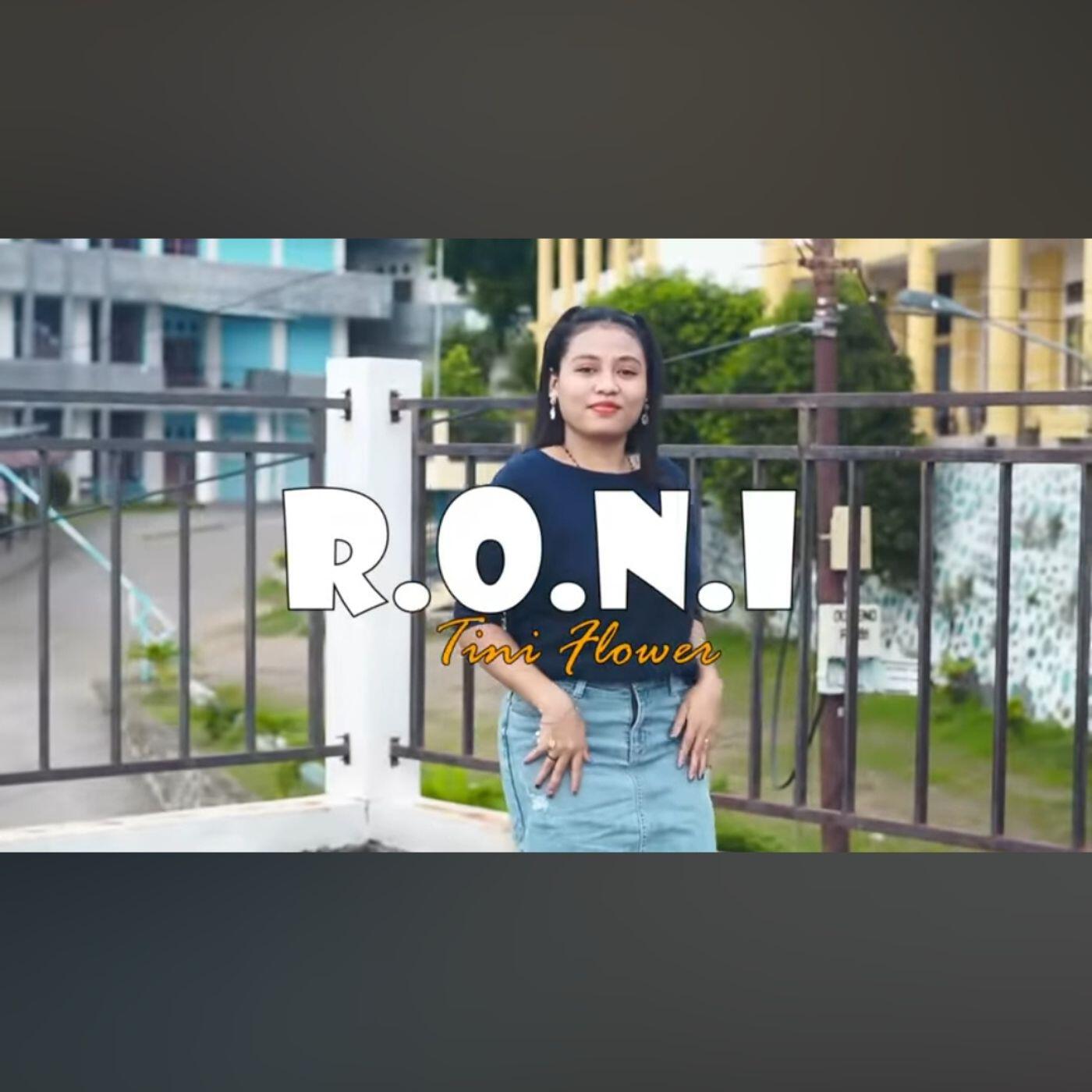 Релиз RONI