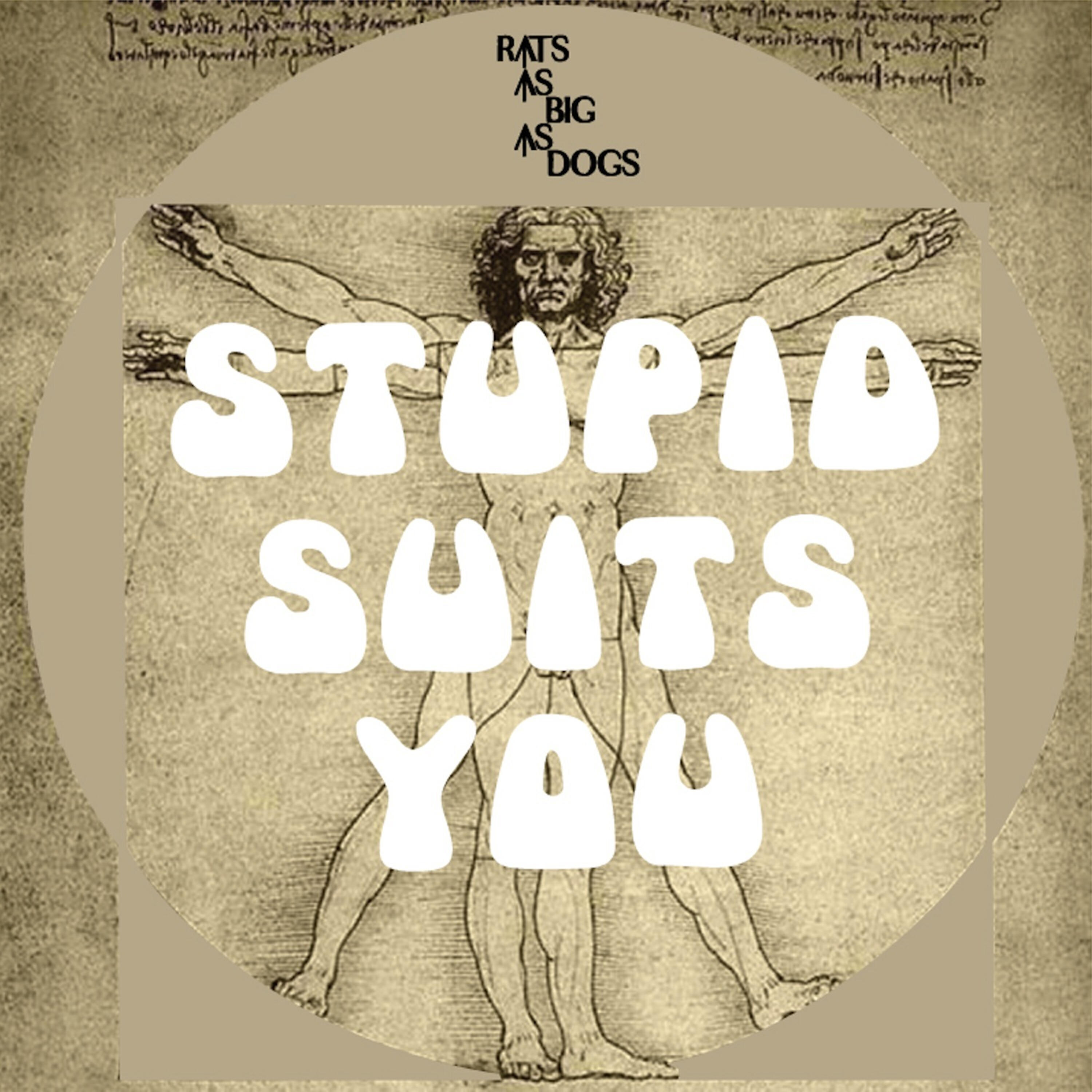 Релиз Stupid Suits You