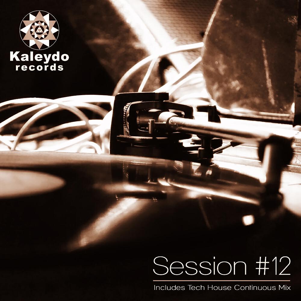 Релиз Kaleydo Records Session #12