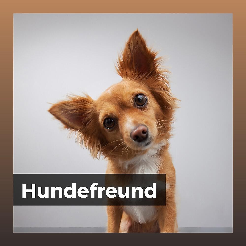 Релиз Hundefreund