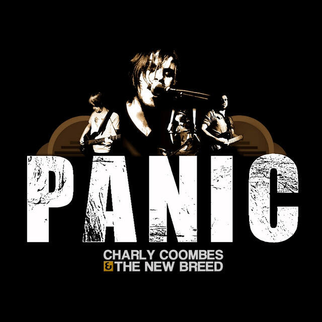 Релиз Panic