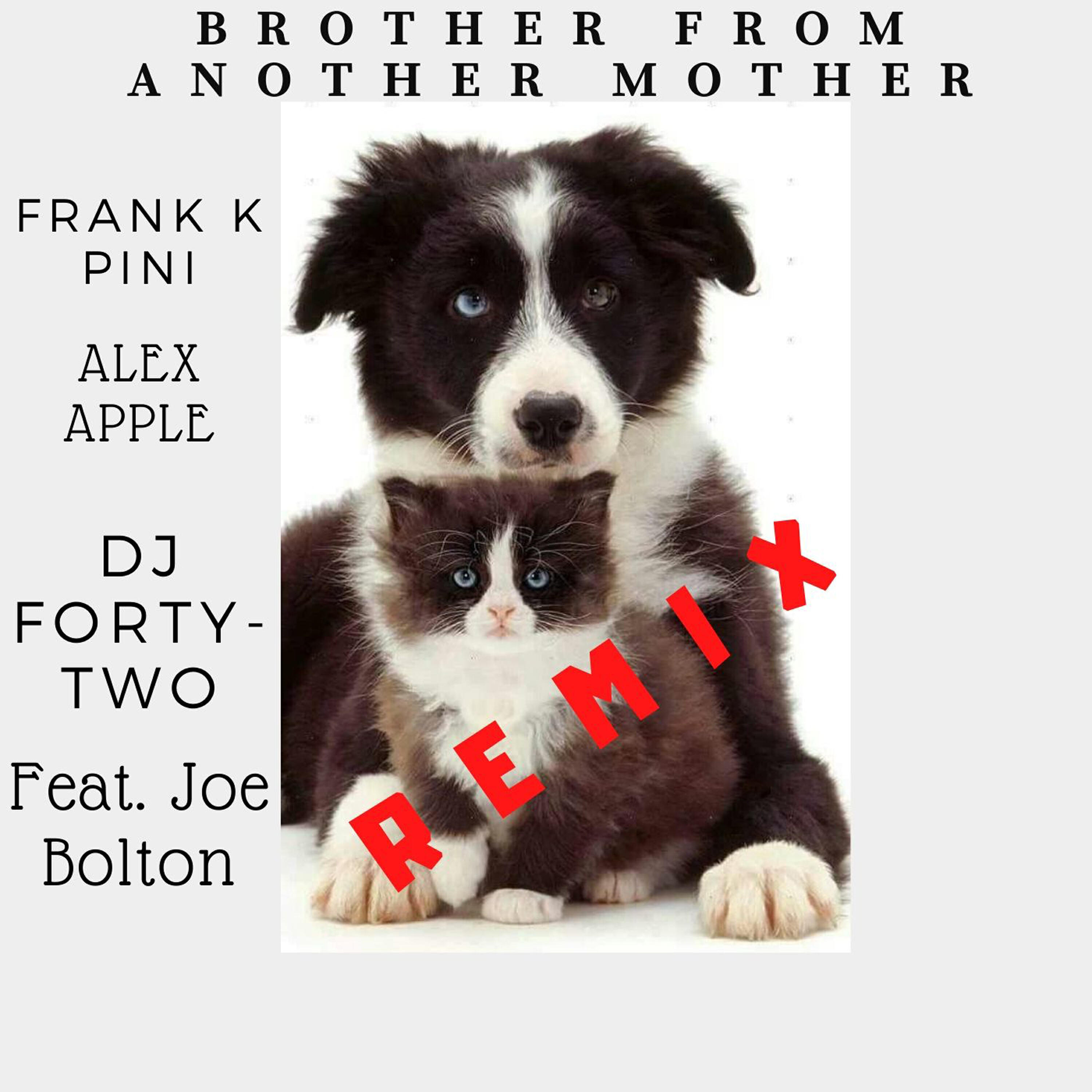 Frank K Pini