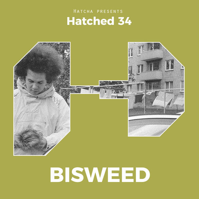 Релиз Hatched 34