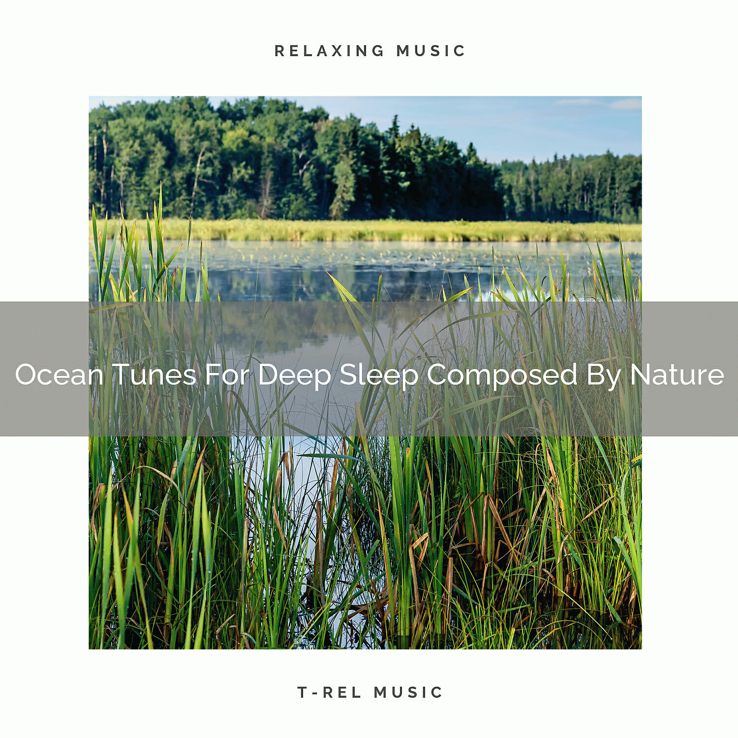 Релиз Ocean Tunes For Deep Sleep Composed By Nature