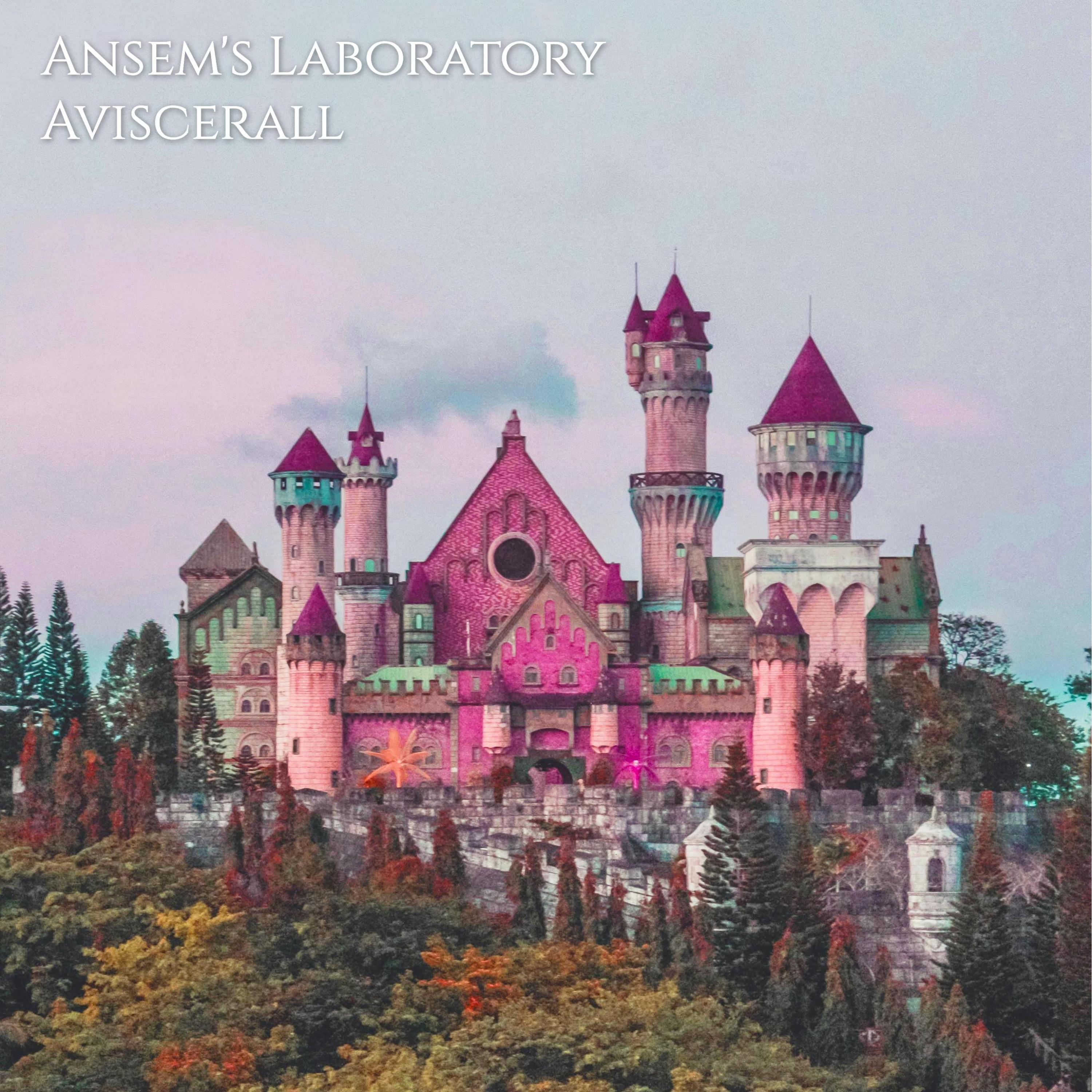 Релиз Ansem's Laboratory