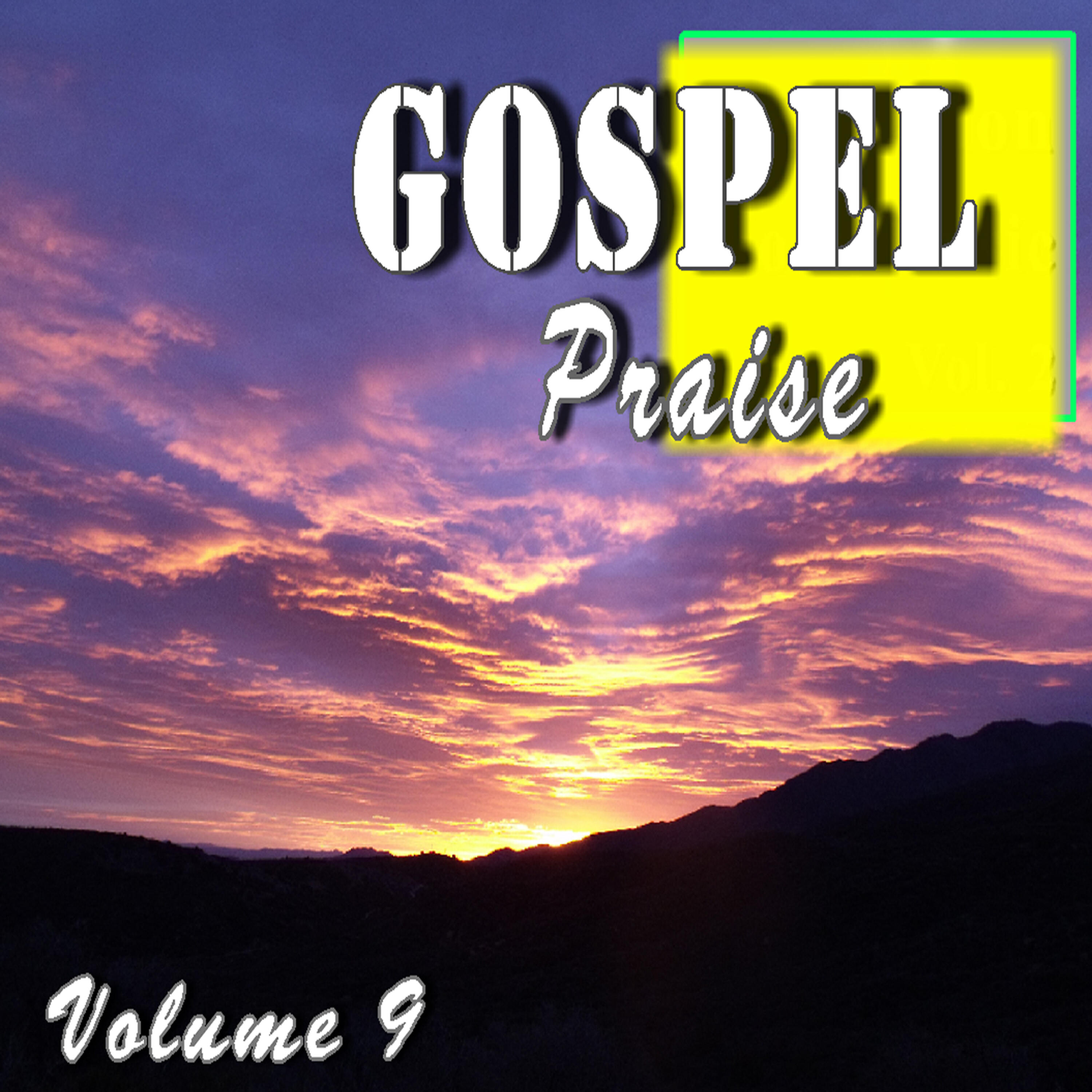 Релиз Gospel Praise, Vol. 9 (Instrumental)