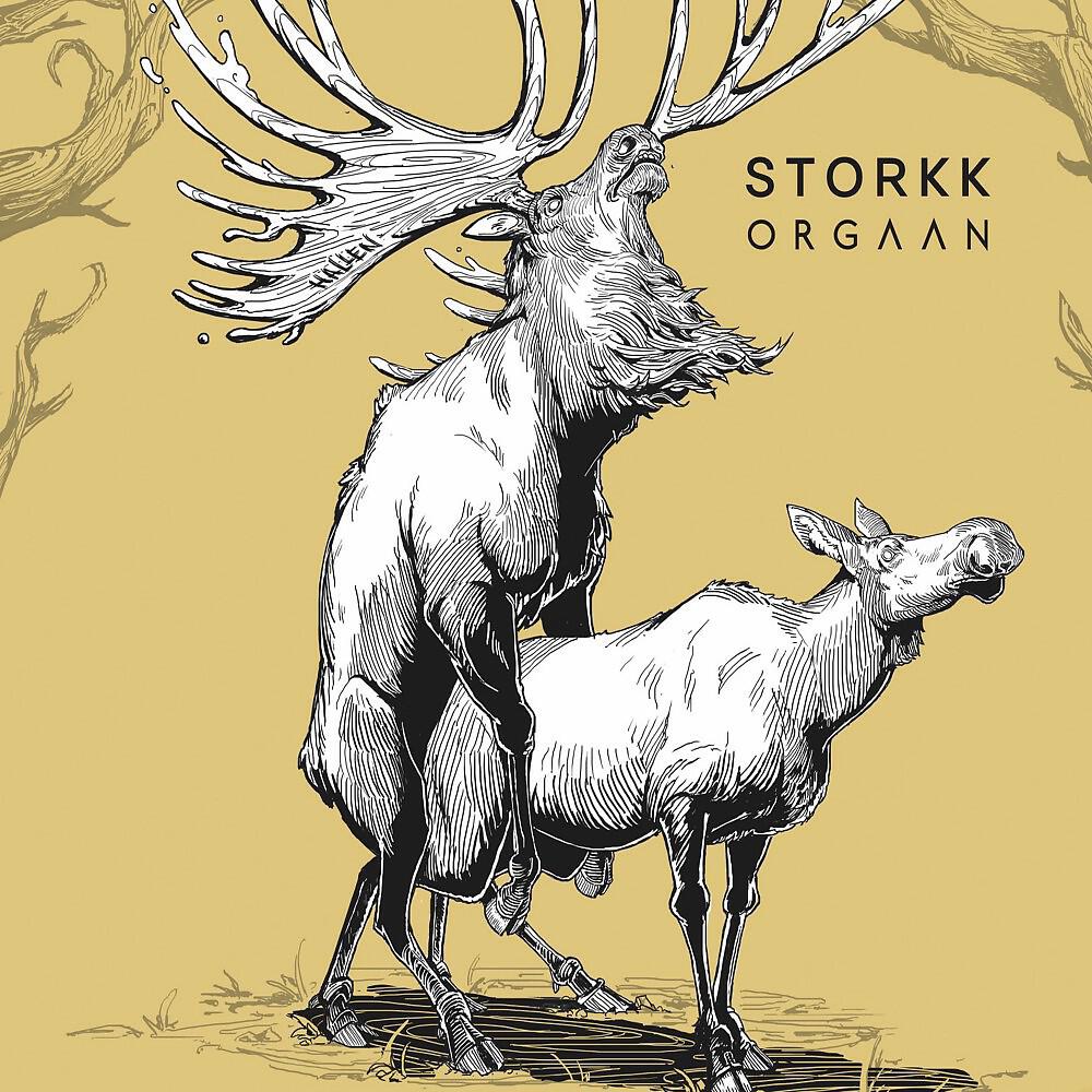 Релиз Storkk