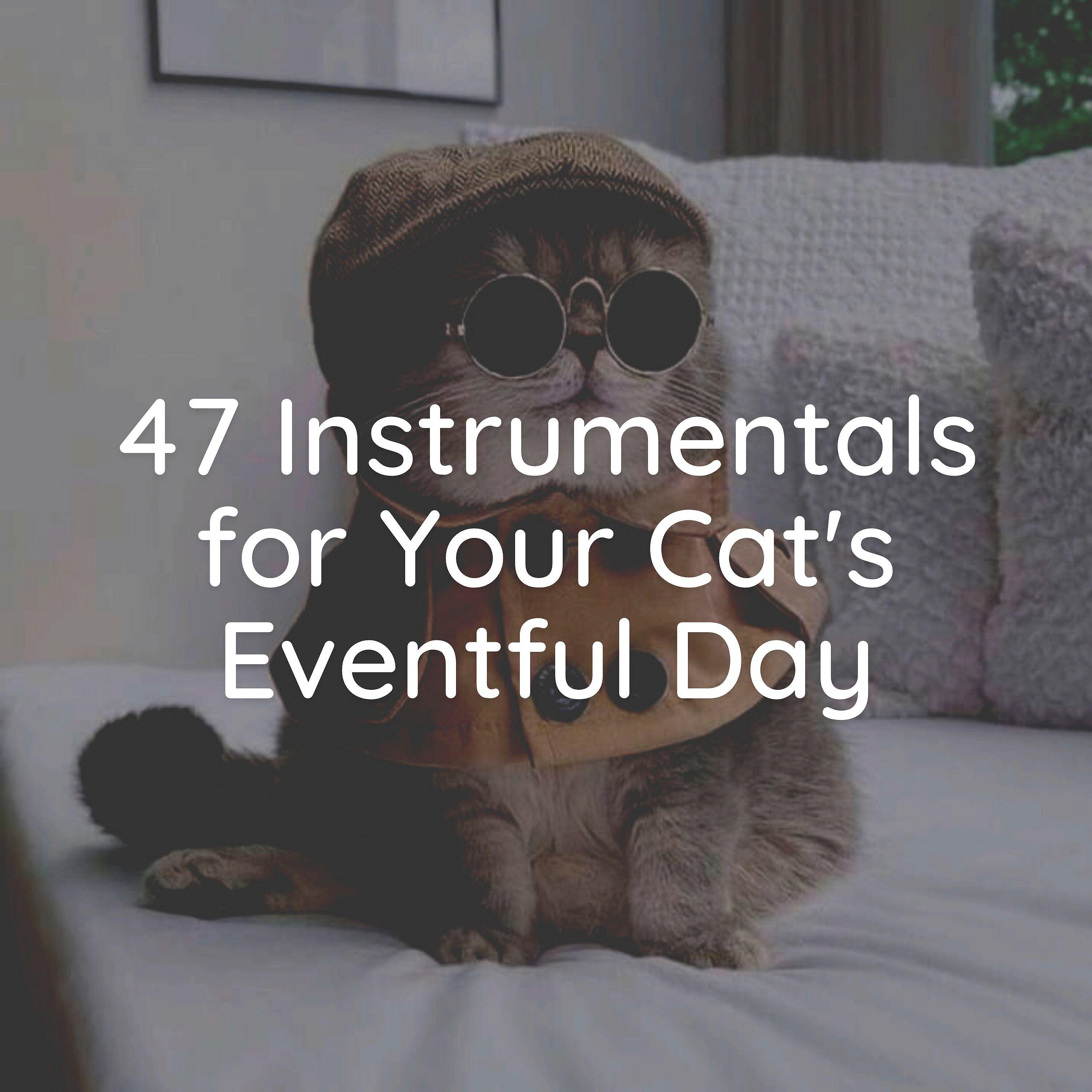 Релиз 47 Instrumentals for Your Cat's Eventful Day