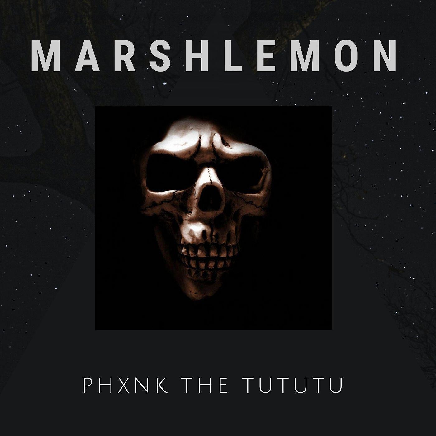Релиз PHXNK The Tututu
