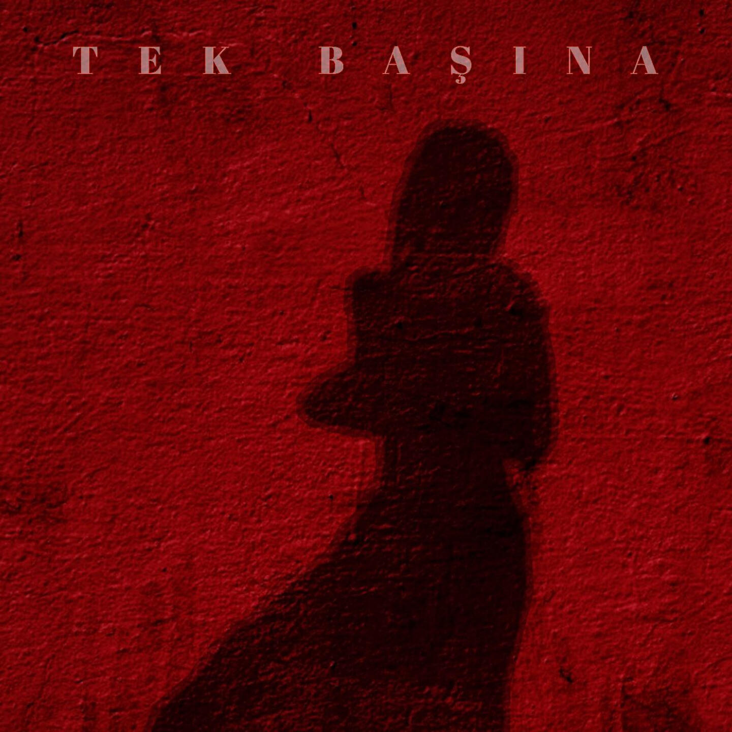 Релиз Tek Başına