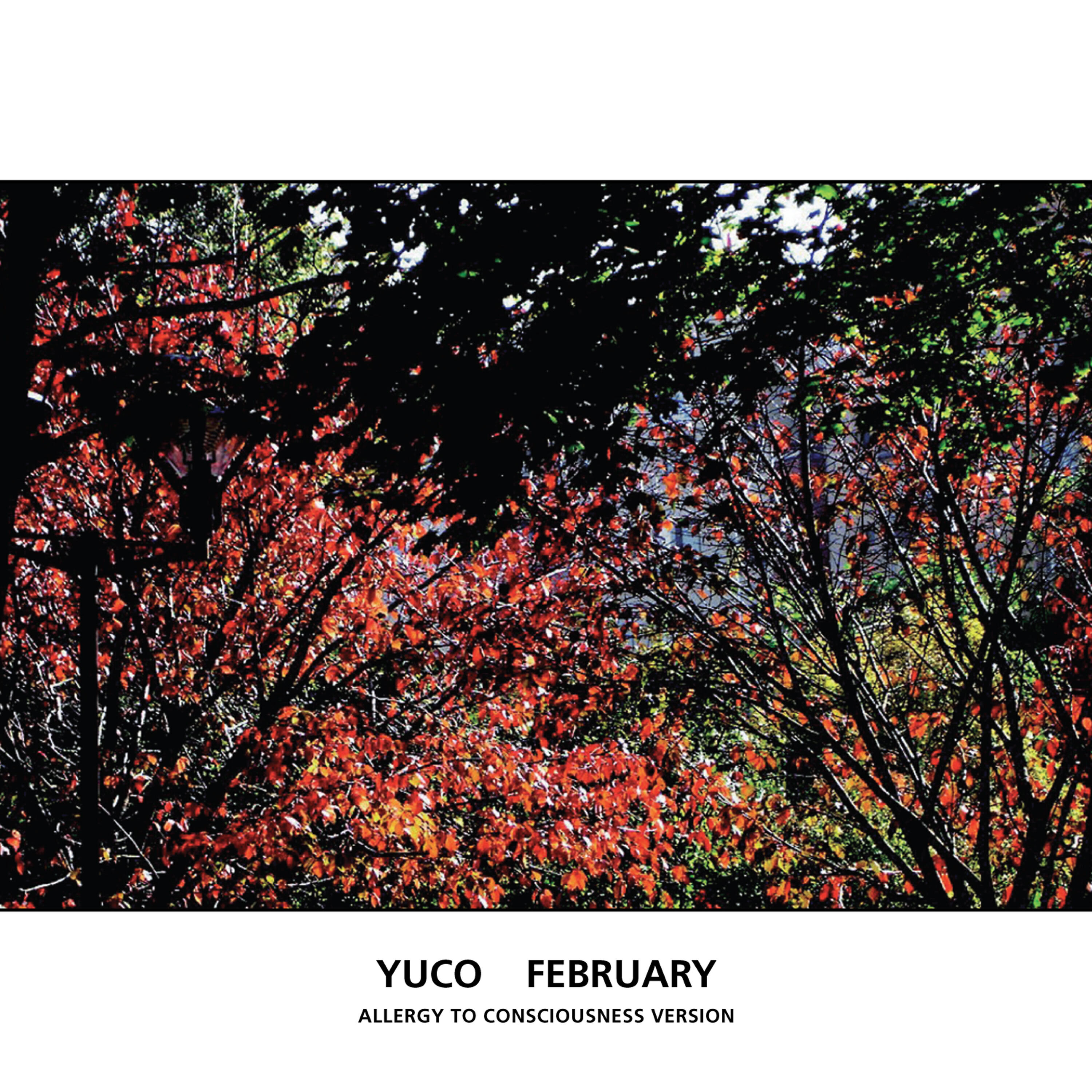 Релиз February (Allergy To Consciousness Version)