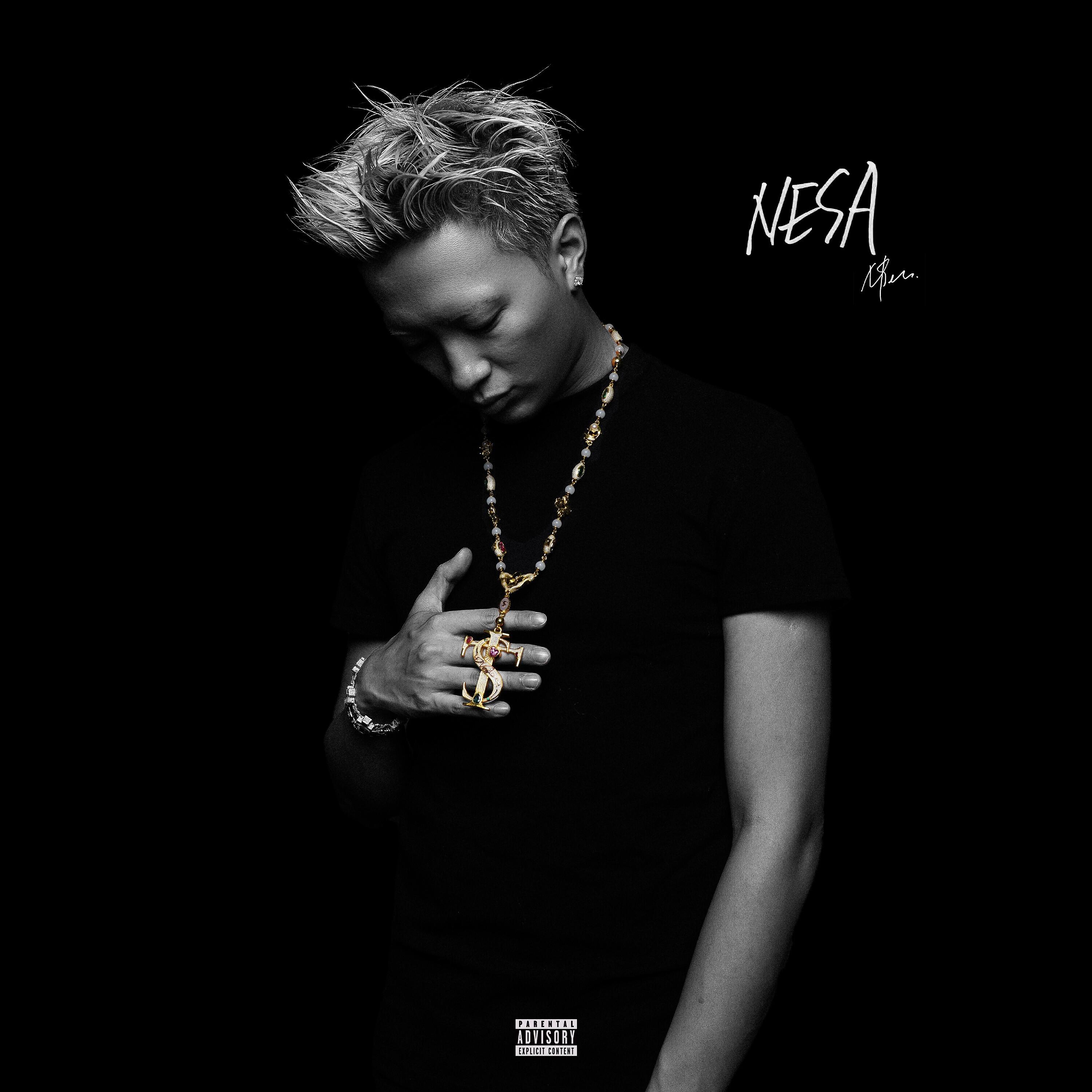 Релиз NESA