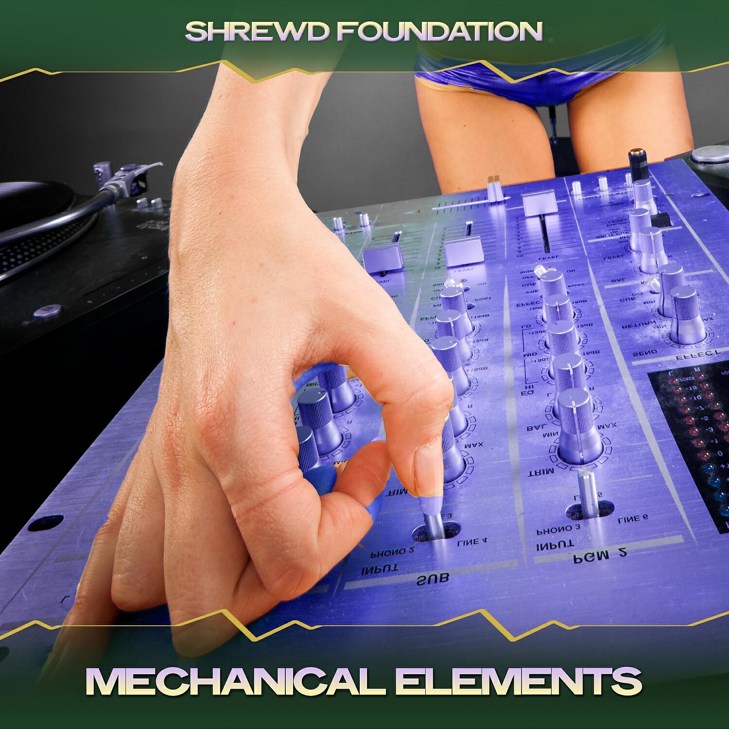Shrewd Foundation