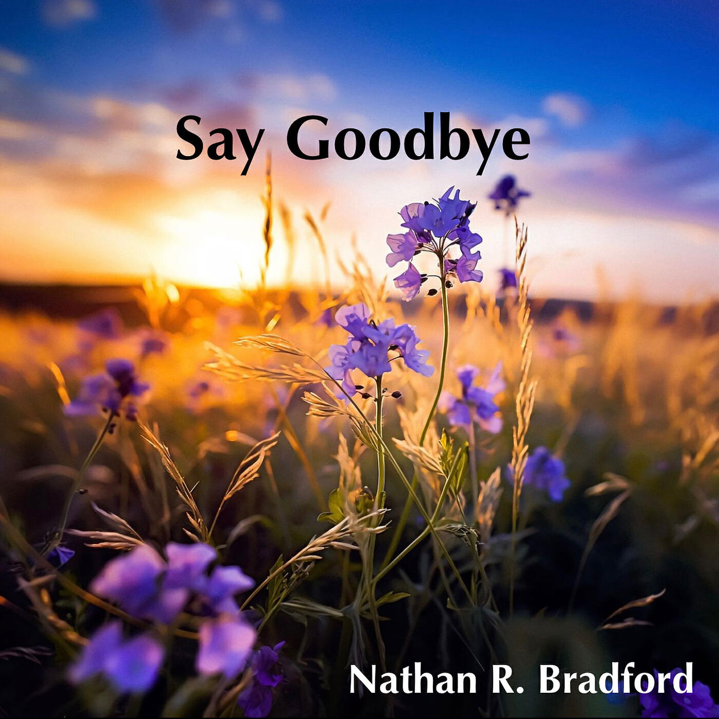 Релиз Say Goodbye