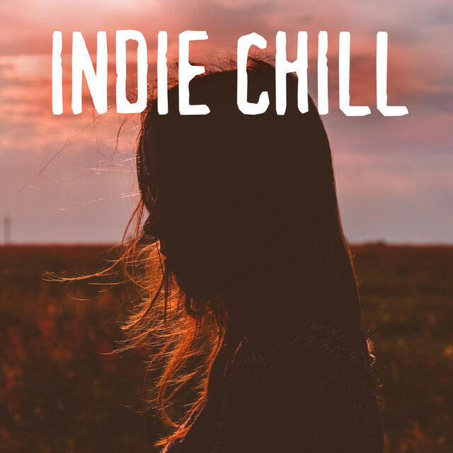 Постер альбома Indie Chill