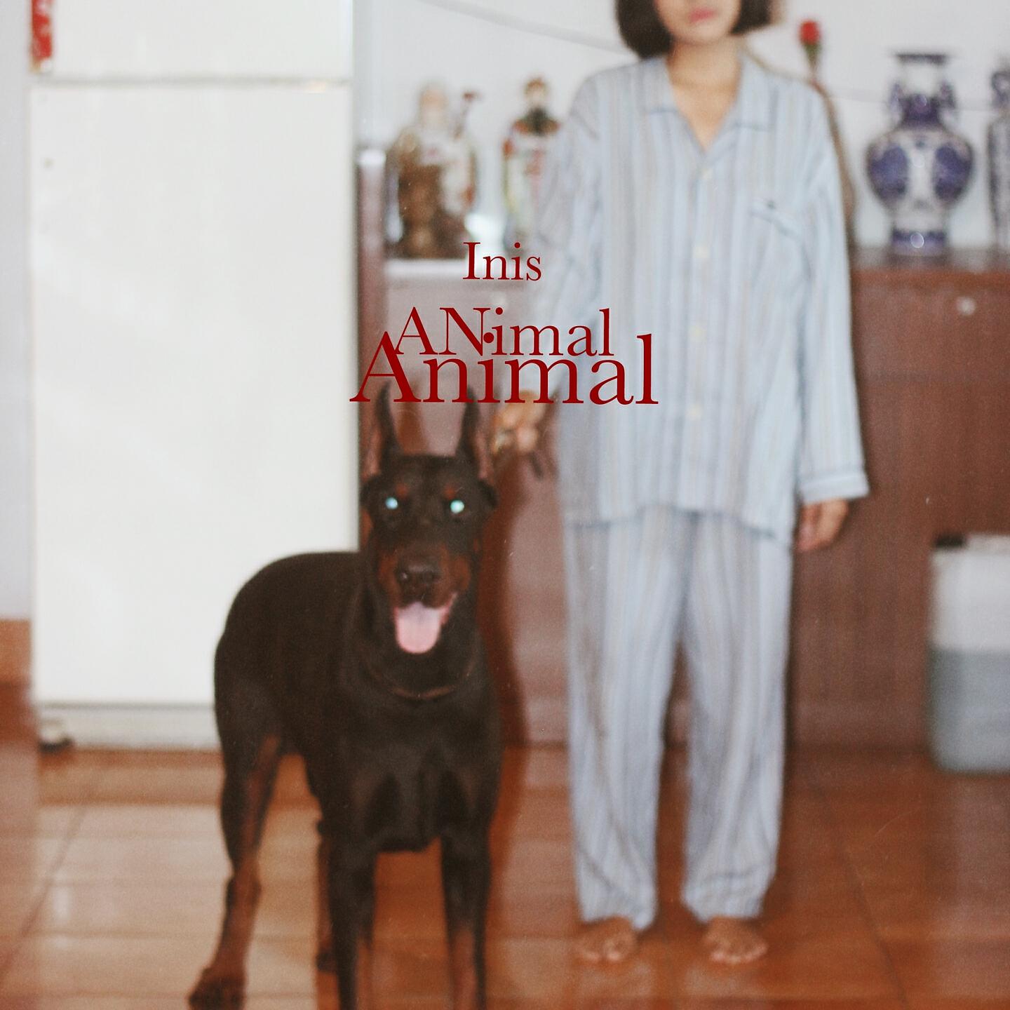 Релиз Animal