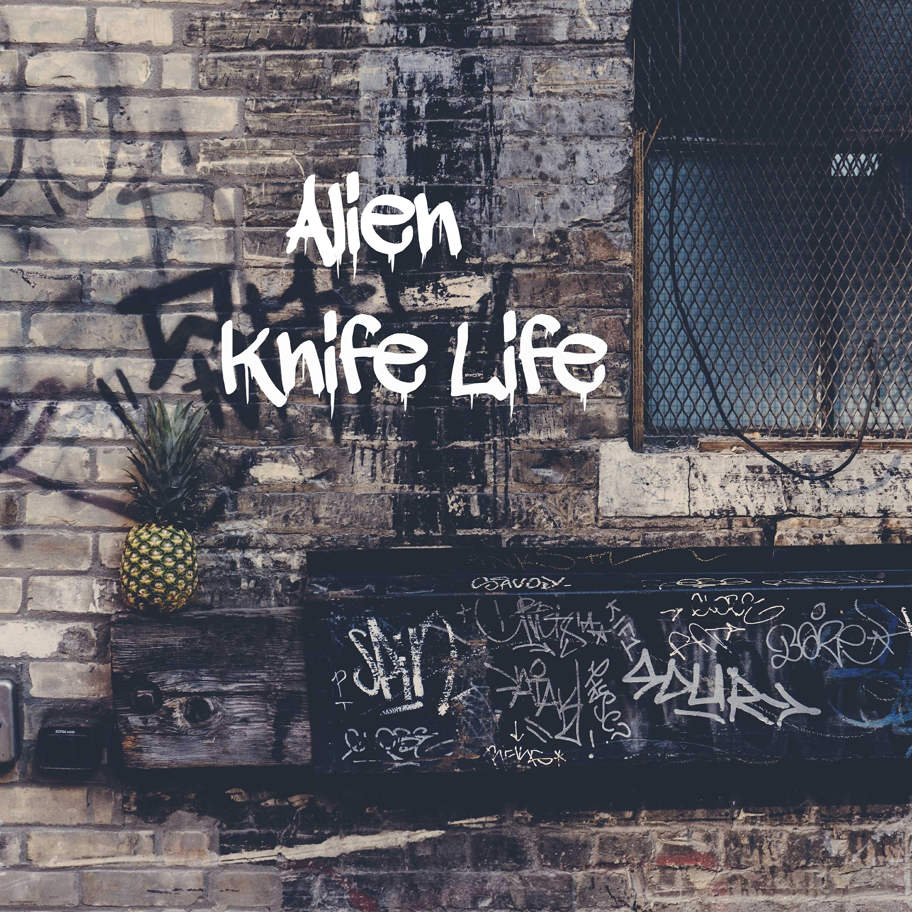 Релиз Knife Life