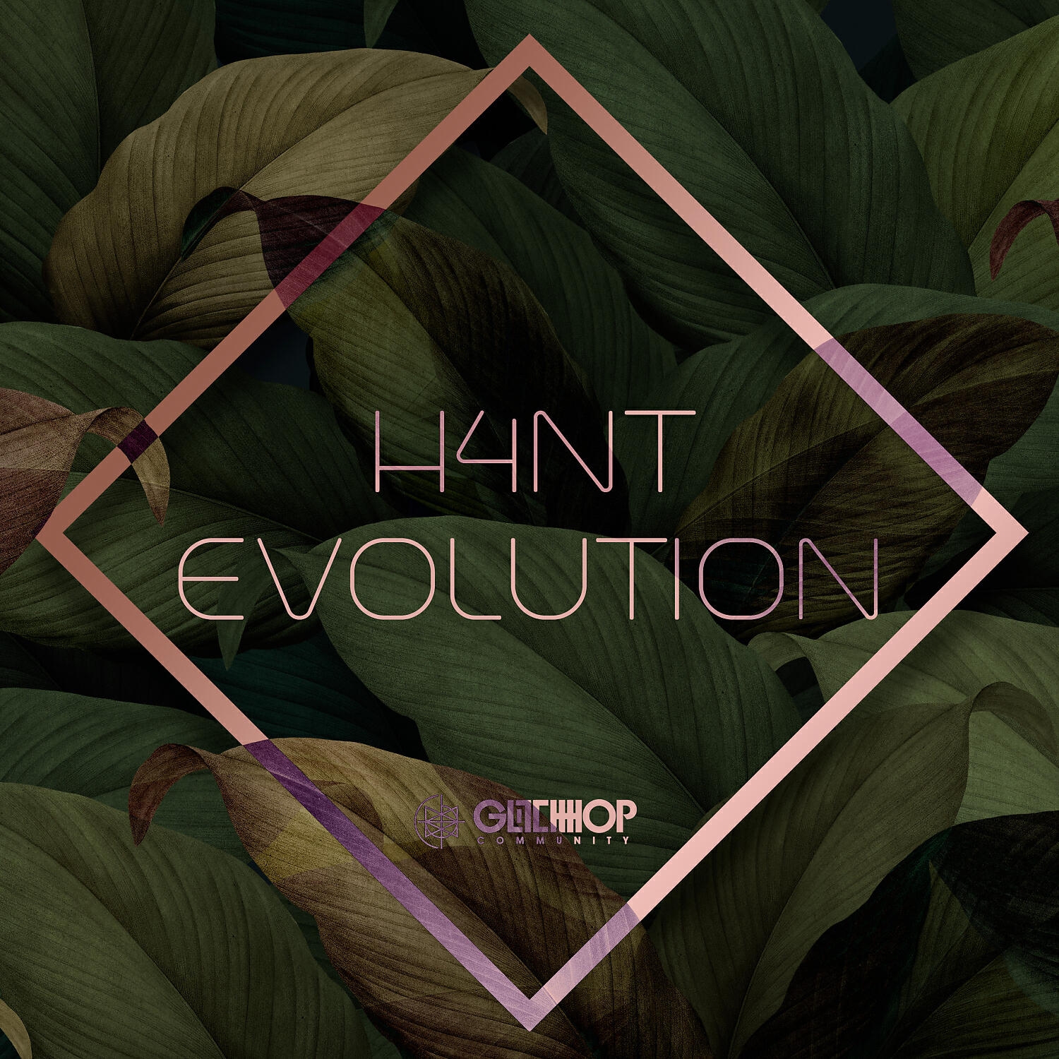 Релиз Evolution
